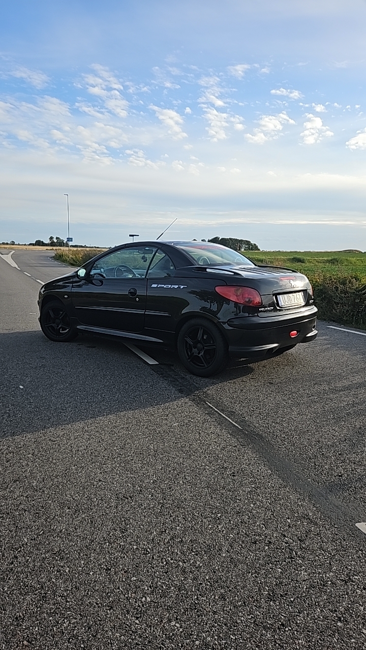 Peugeot 206 CC 1.6 Manuell 2004, photo 3/10