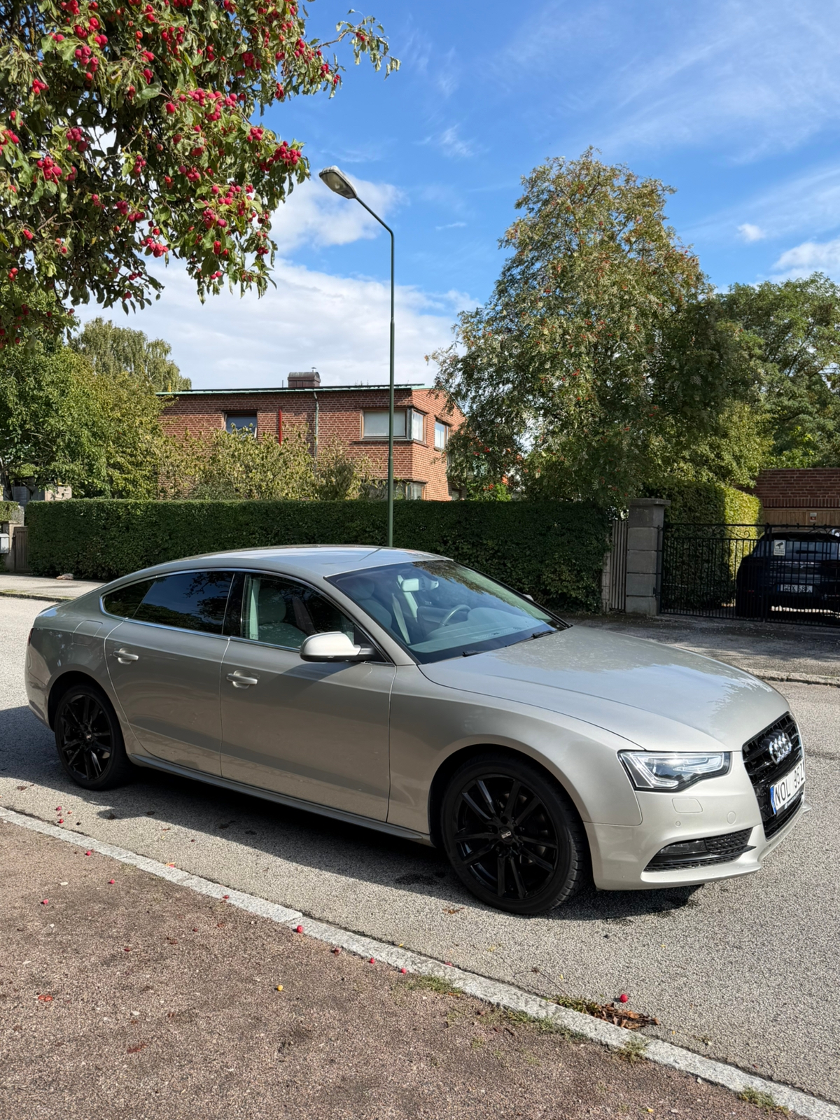 Audi A5 Sportback 2.0 TDI DPF Manuell 2013, photo 6/10