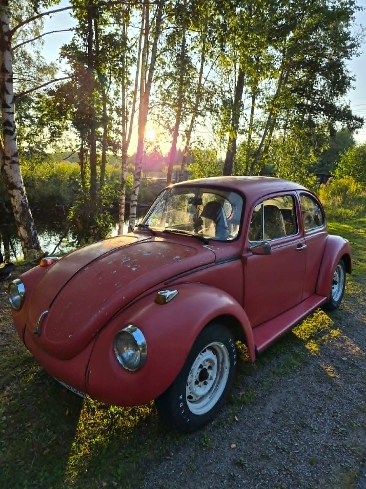 Volkswagen 1303