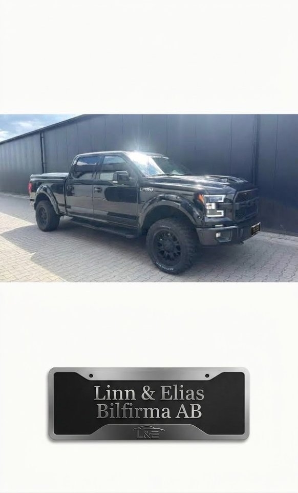 Ford F-150 2015, kuva 2/9
