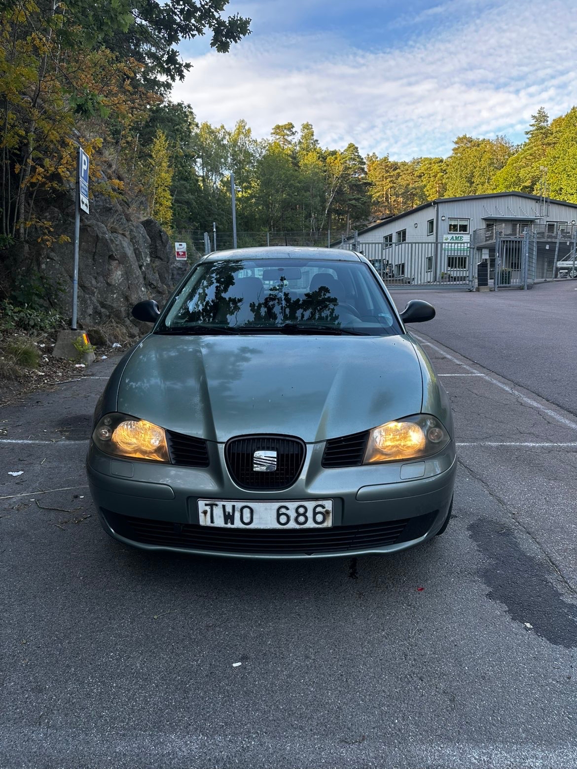 Seat Ibiza