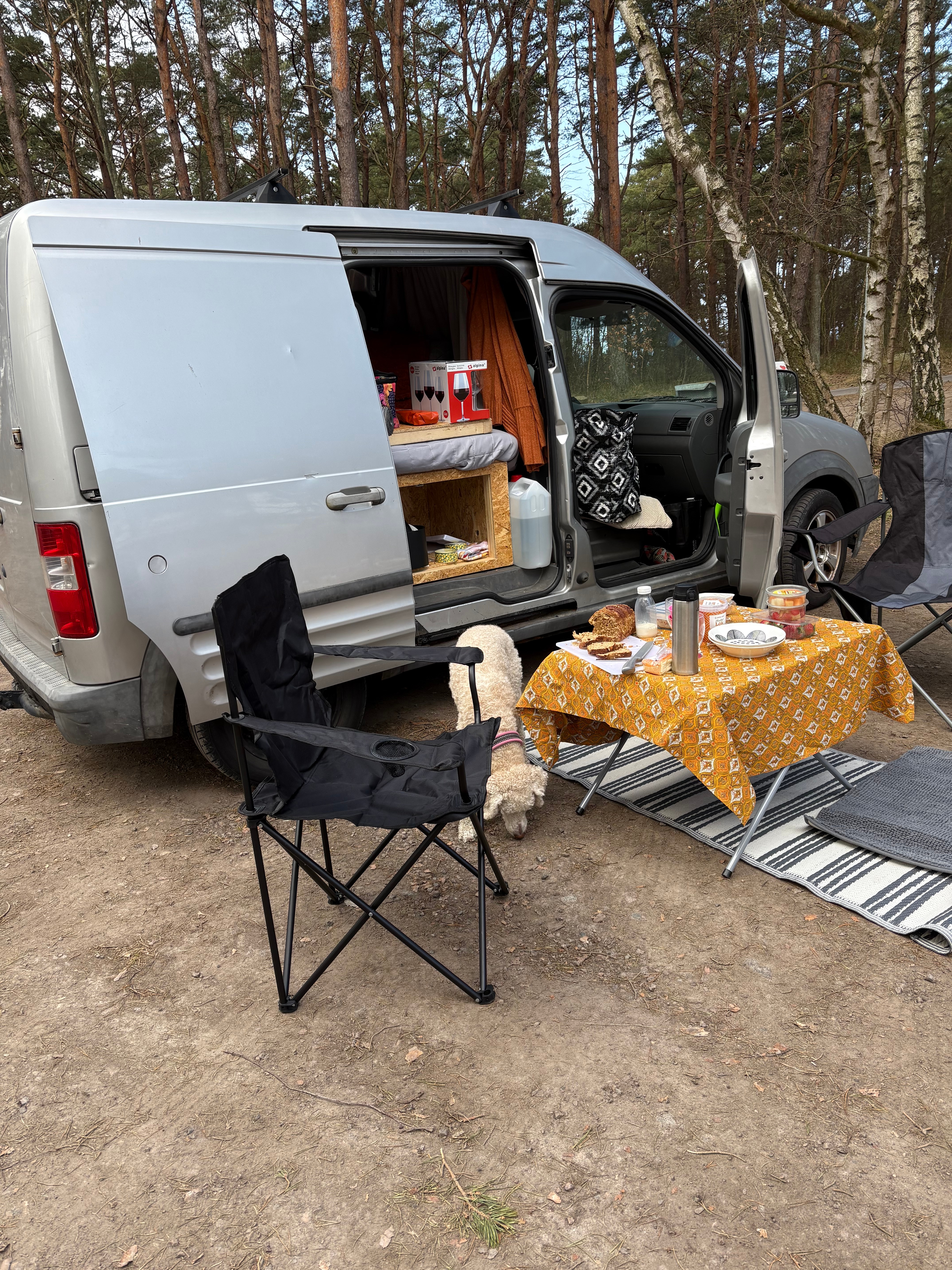 Ford Transit Connect 2006, bild 2/2