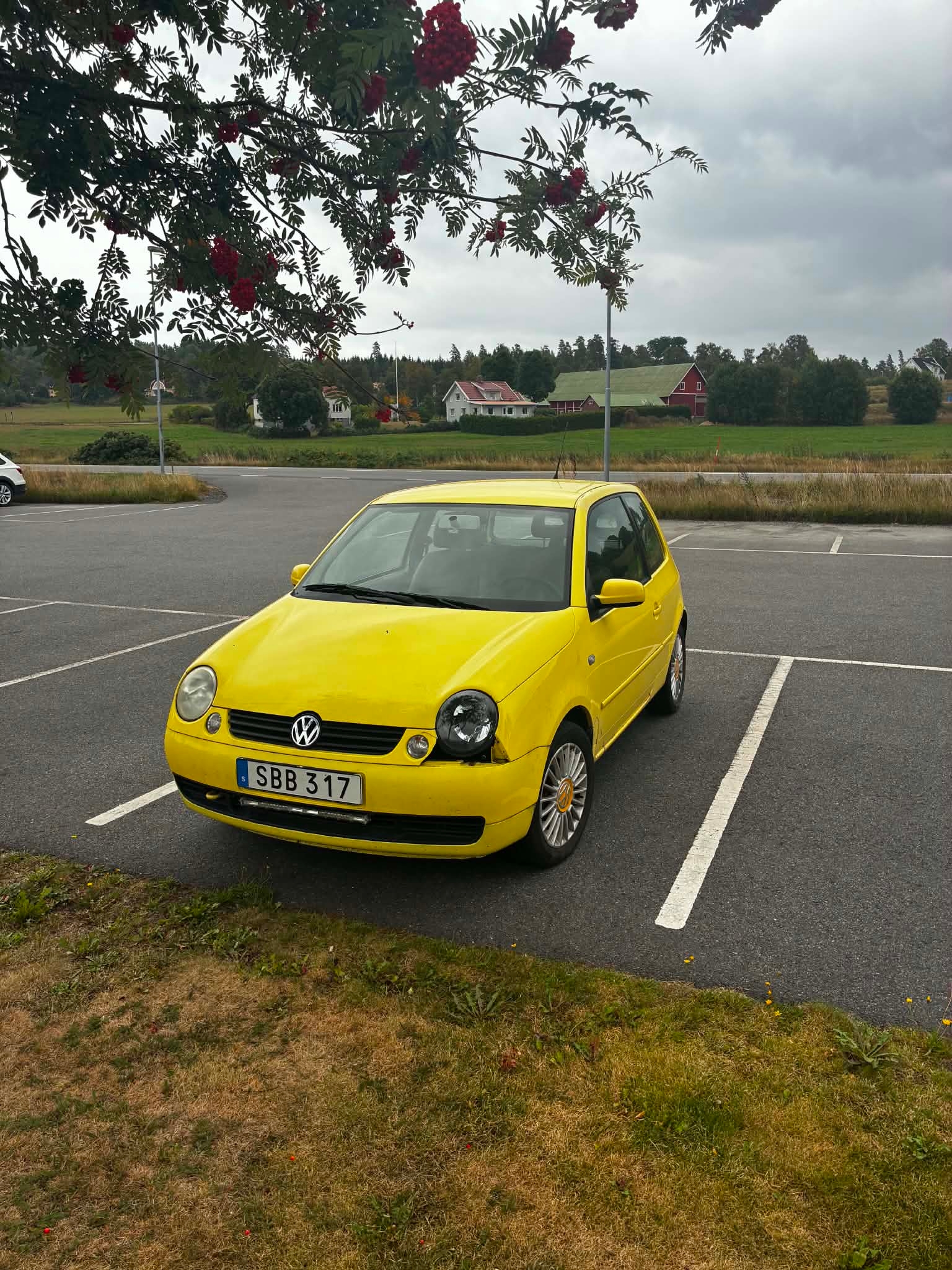 Volkswagen Lupo 5-seater 1.0 Manuell 2001, bild 3/3
