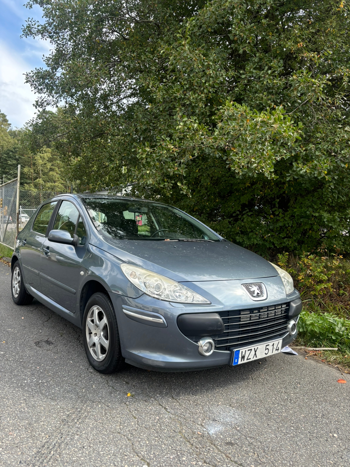 Peugeot 307
