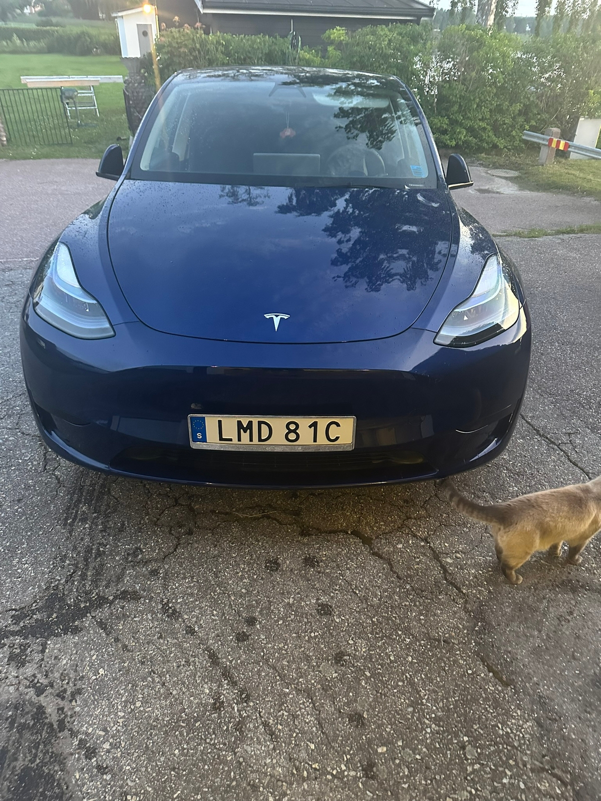 Tesla Model Y Standard Range RWD 2023, bild 3/4