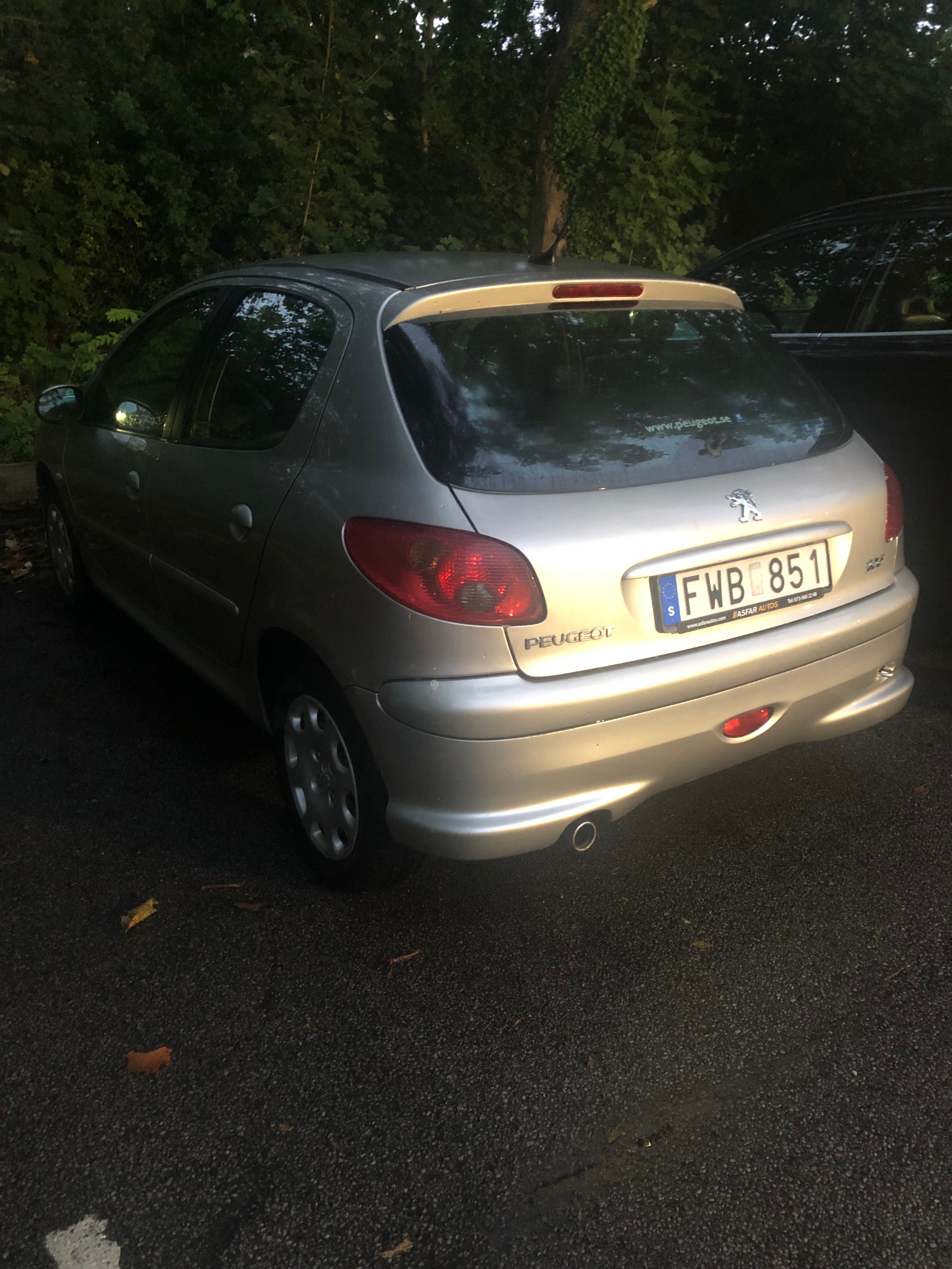 Peugeot 206