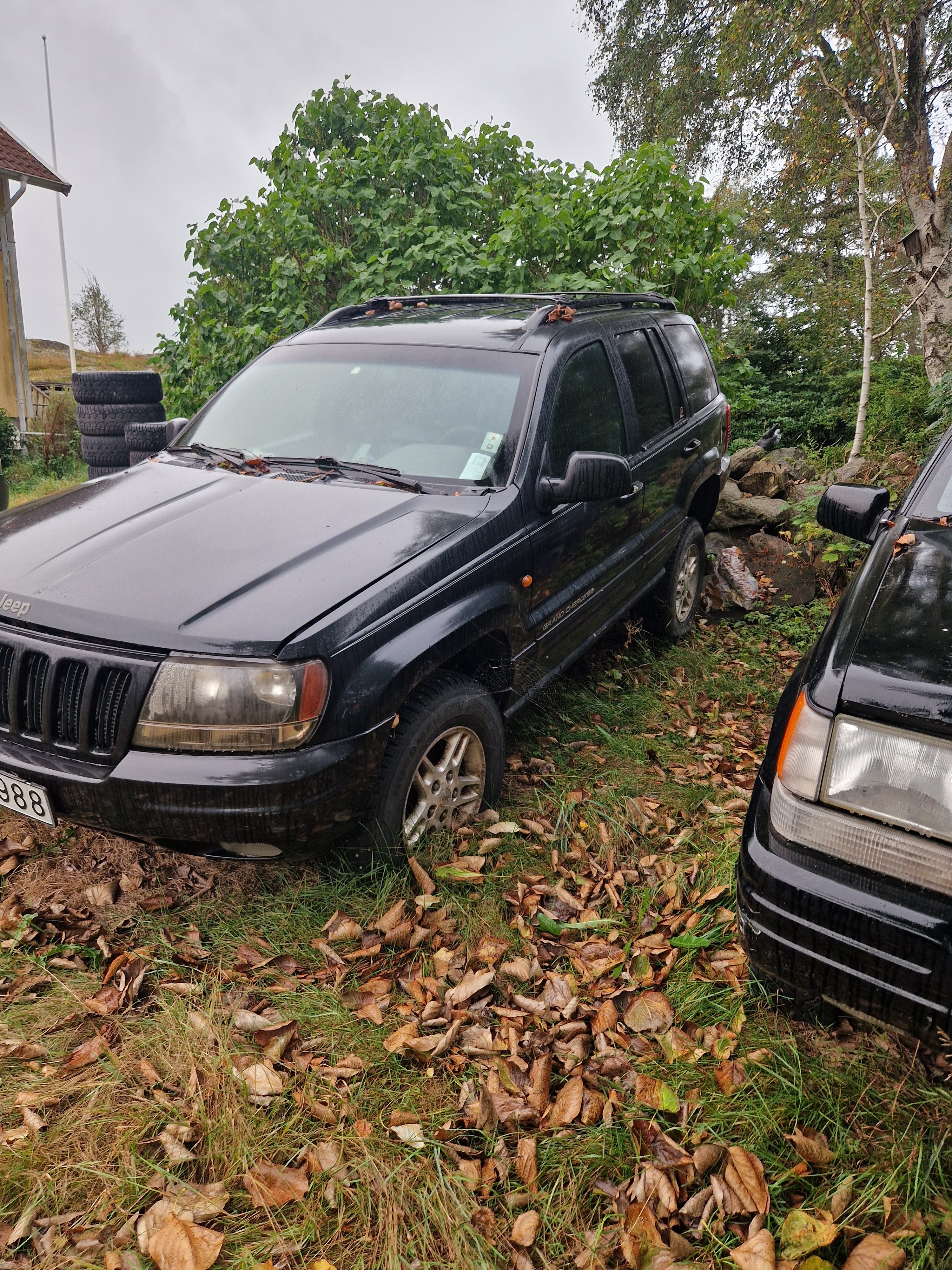 Jeep Grand Cherokee 4.0 4WD Automatisk 2000, bild 3/4