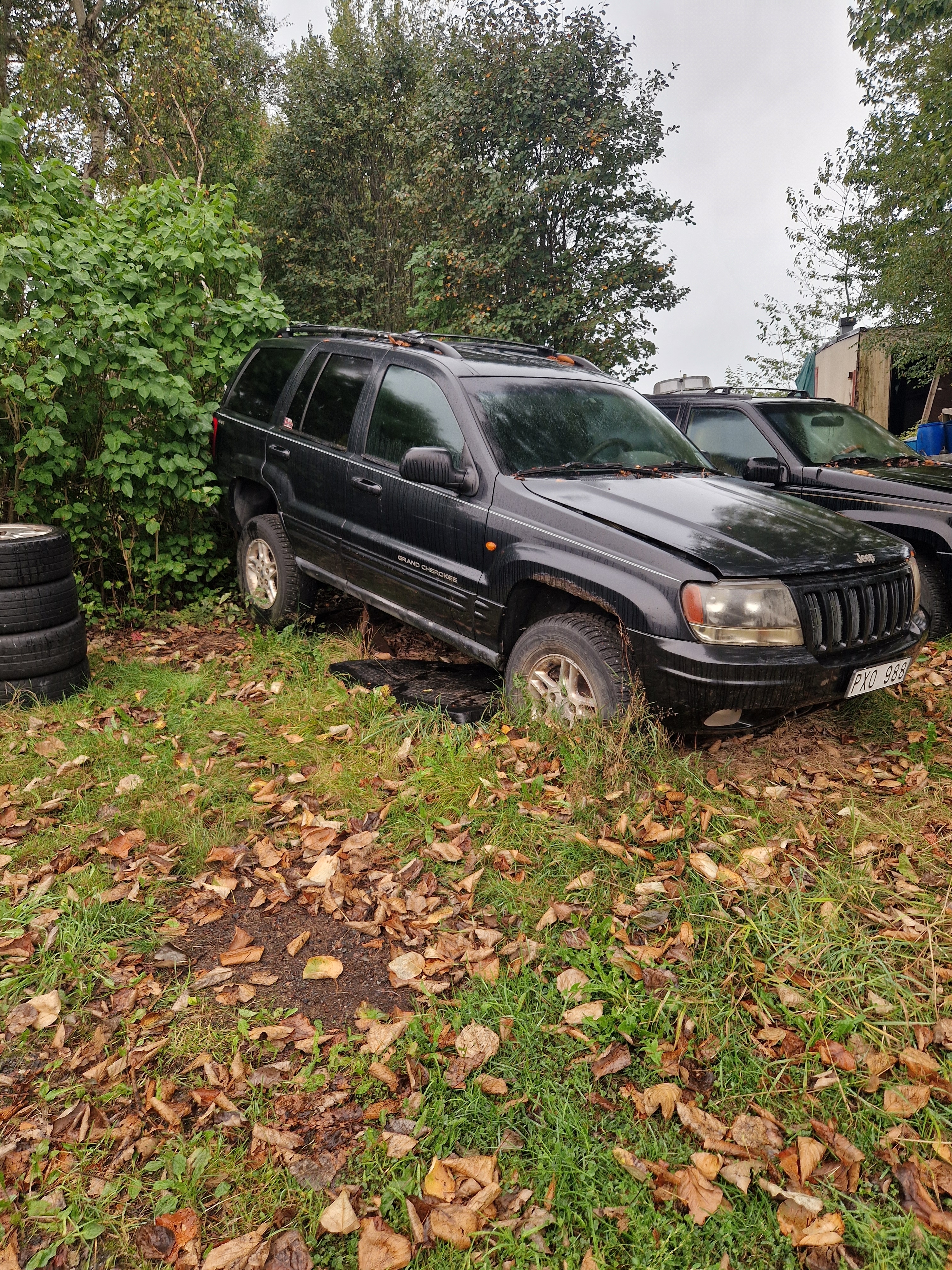 Jeep Grand Cherokee 4.0 4WD Automatisk 2000, bild 4/4