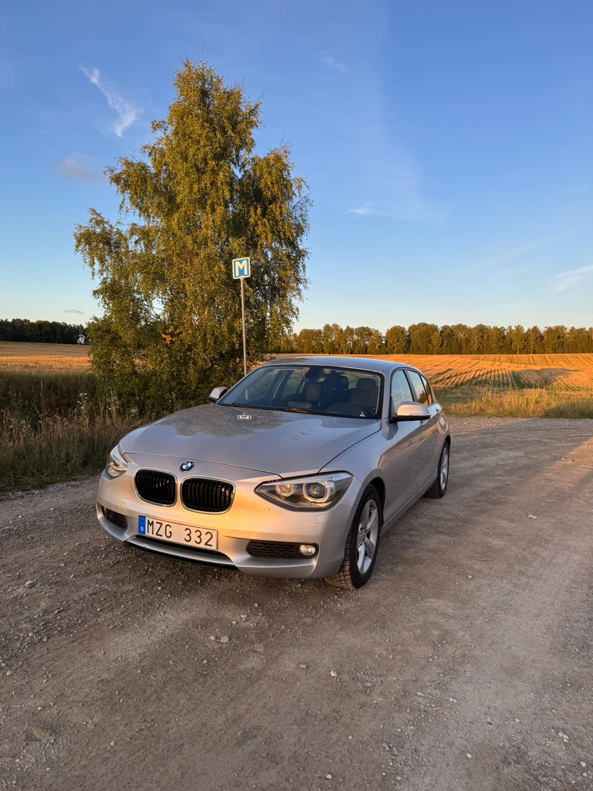 BMW 116 d 5-dörrars Manuell 2013, bild 6/10