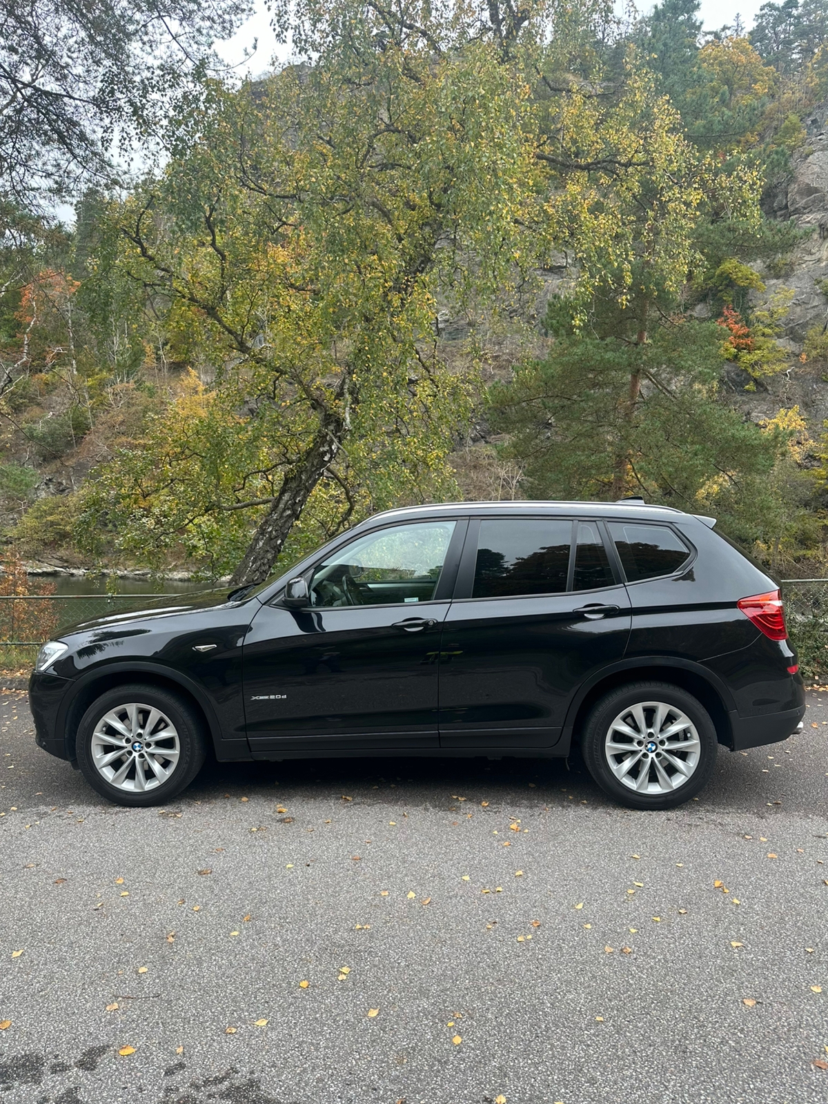 BMW X3 xDrive20d Steptronic 2017, bild 3/10