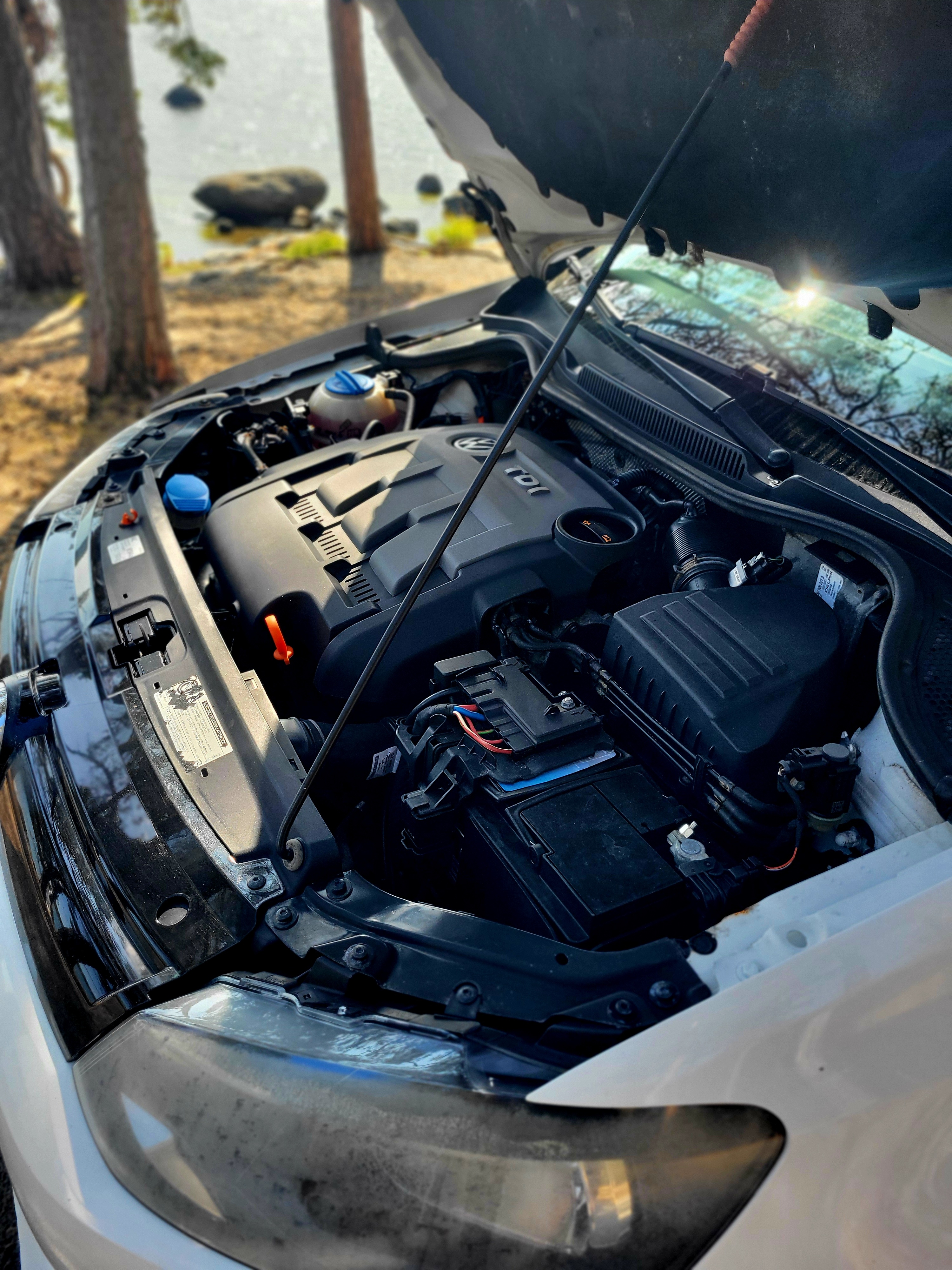 Volkswagen Polo 2012, bild 4/7