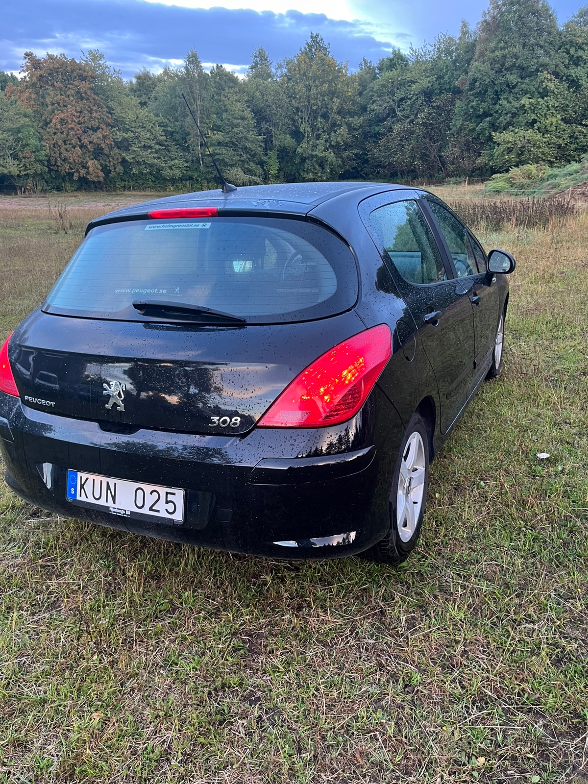 Peugeot 308 5-dörrar 1.6 VTi Manuell 2010, bild 3/10