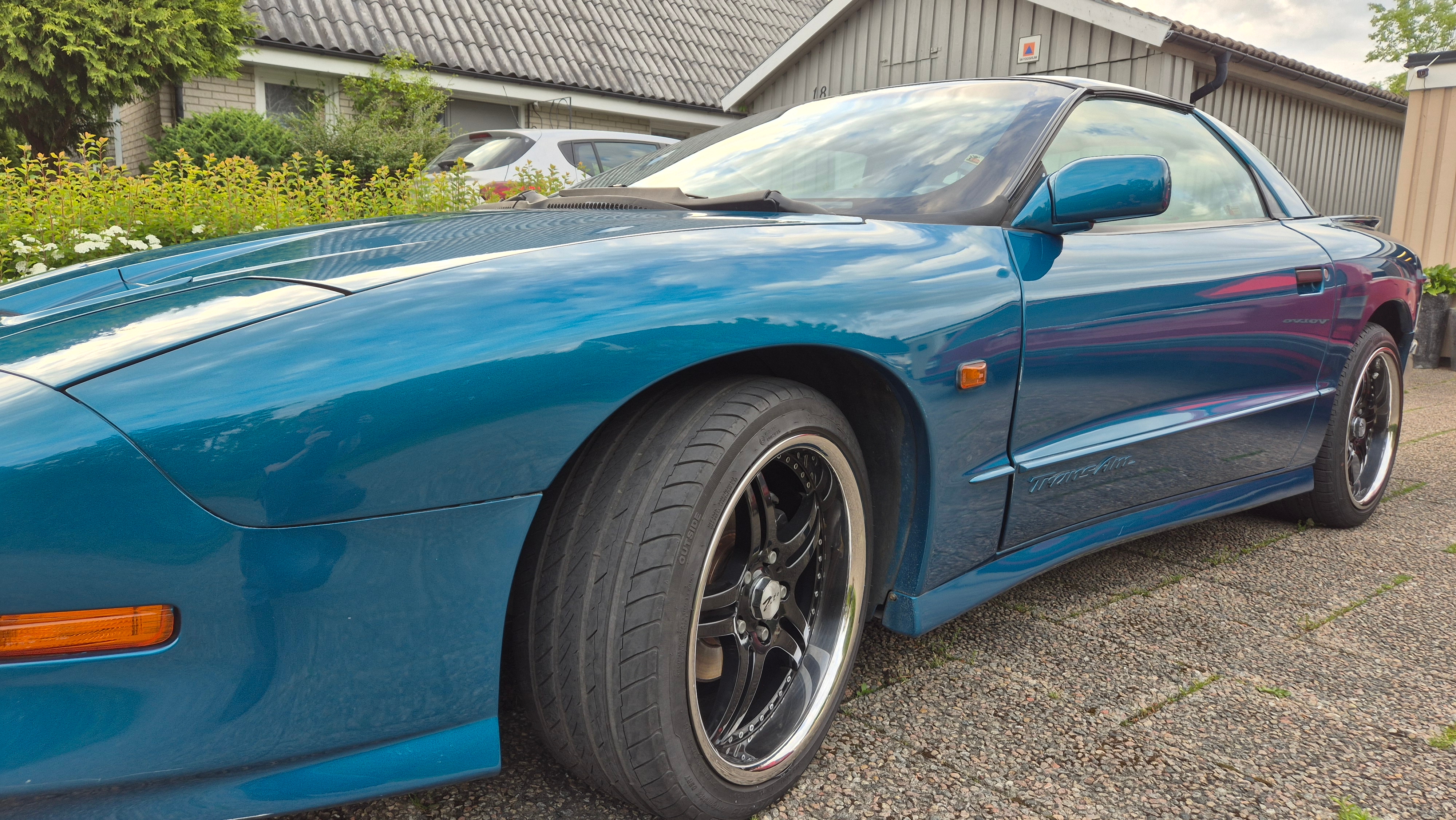Pontiac Firebird Trans Am 5.7lit V8 1995, bild 4/10