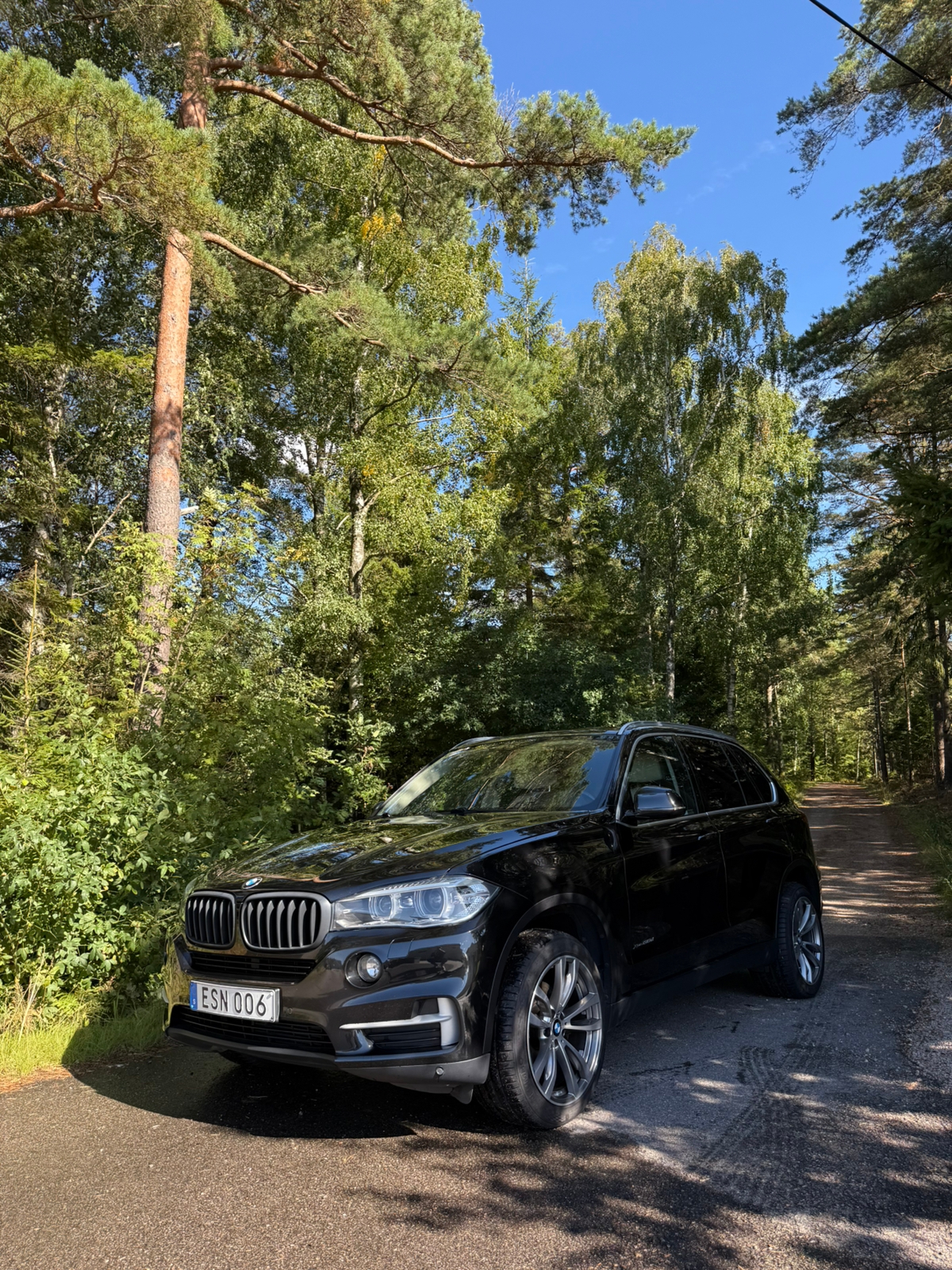 BMW X5 xDrive30d 7-Seater Steptronic 2015, bild 3/6