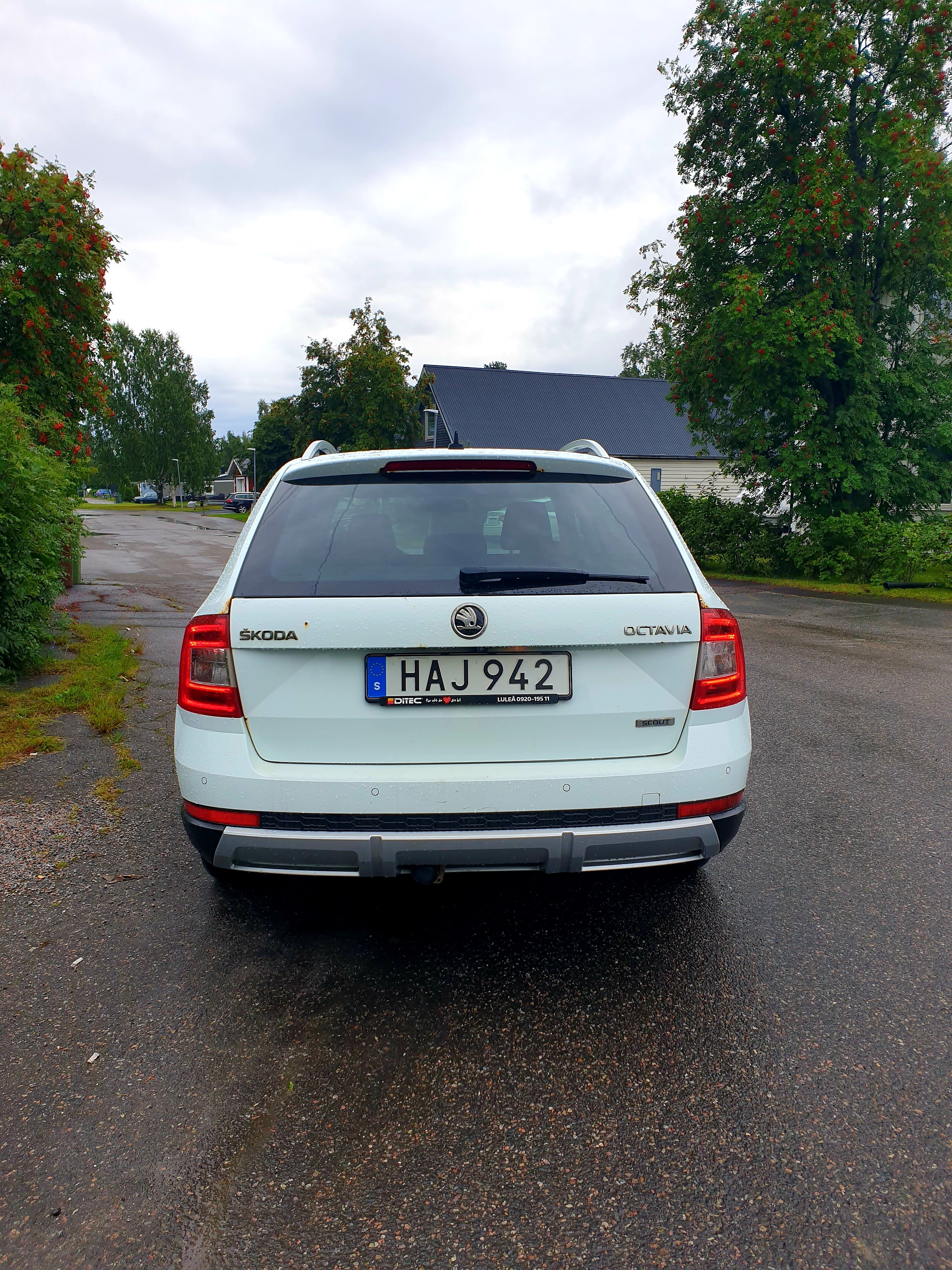 Skoda Octavia Scout 2.0 TDI 4x4 Manuell 2016, kuva 7/10