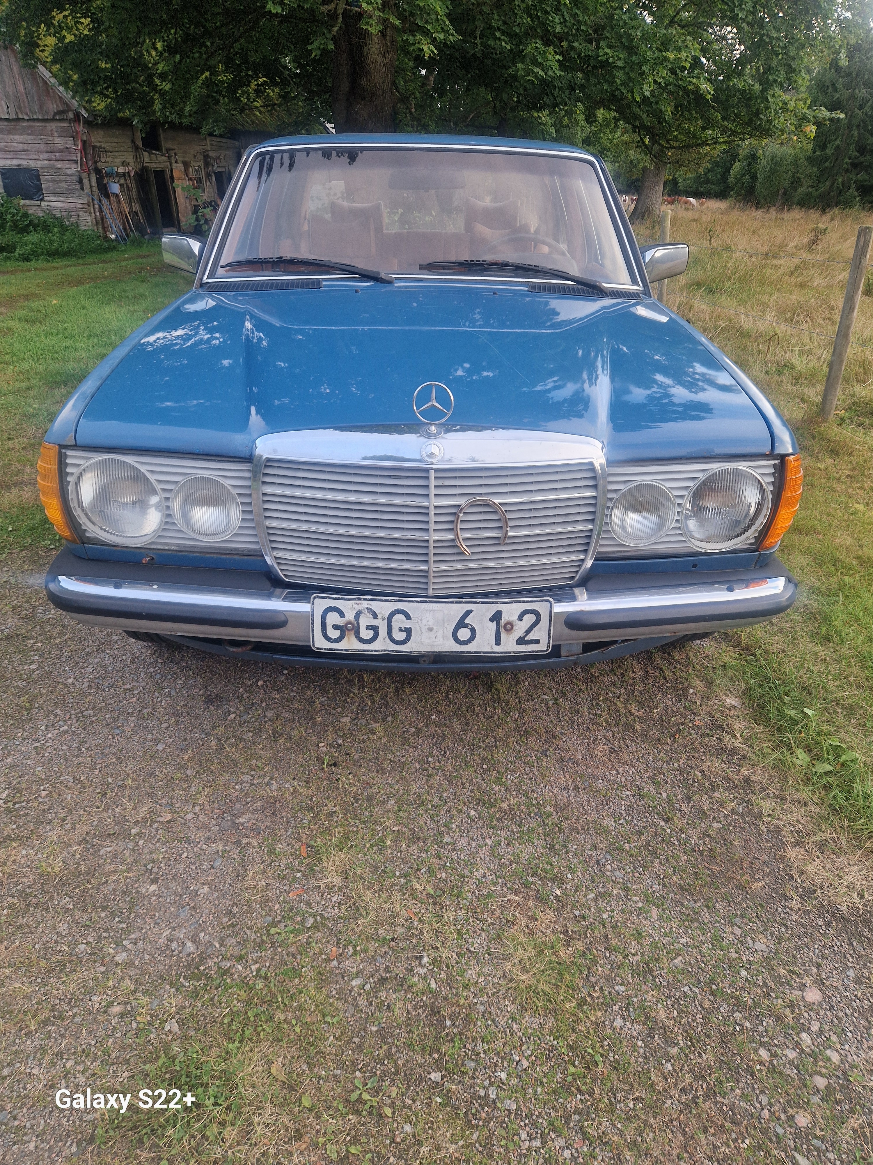 Mercedes-Benz 300 D Automatisk 1979, bild 7/10