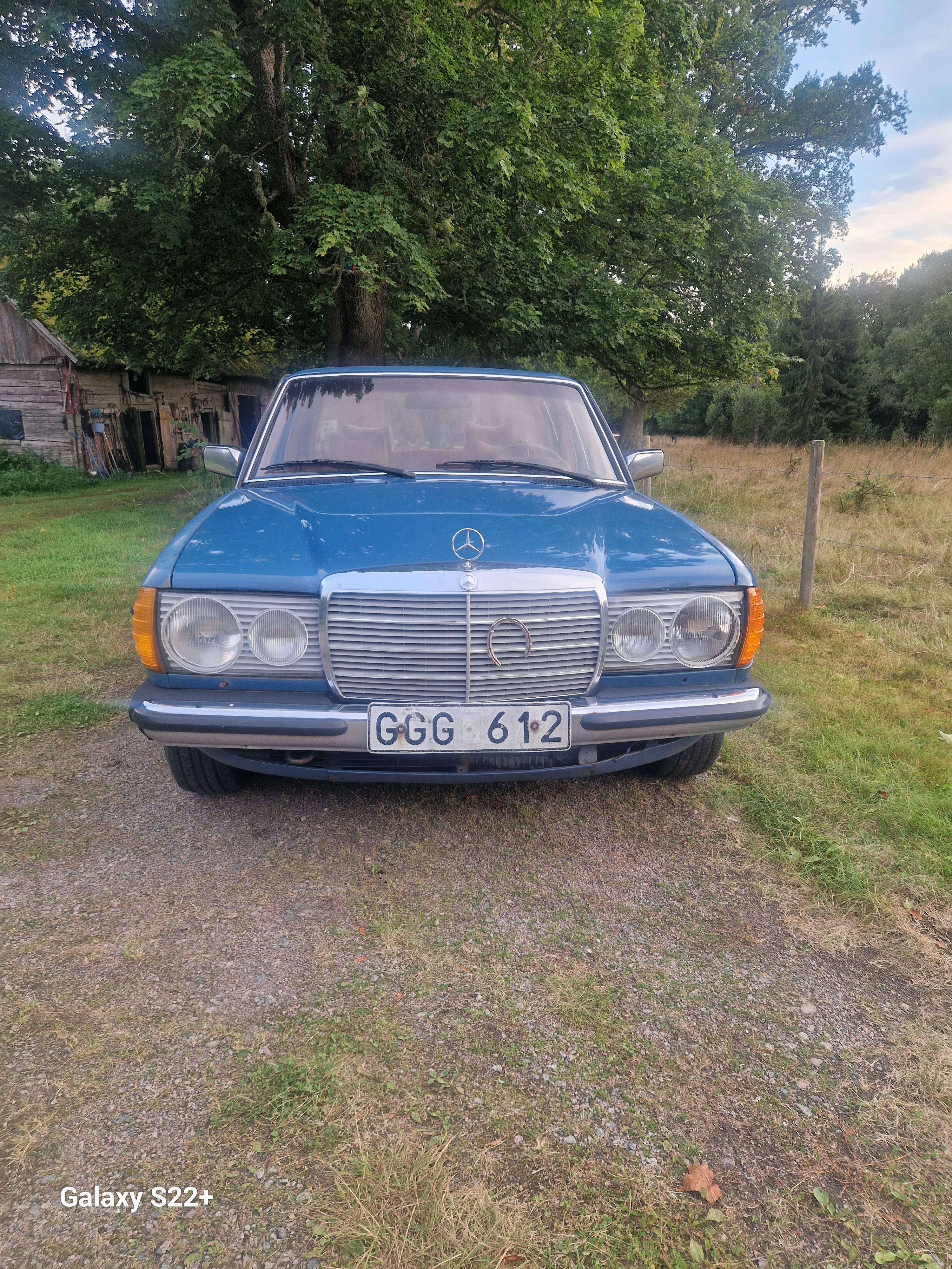 Mercedes-Benz 300 D Automatisk 1979, bild 3/10