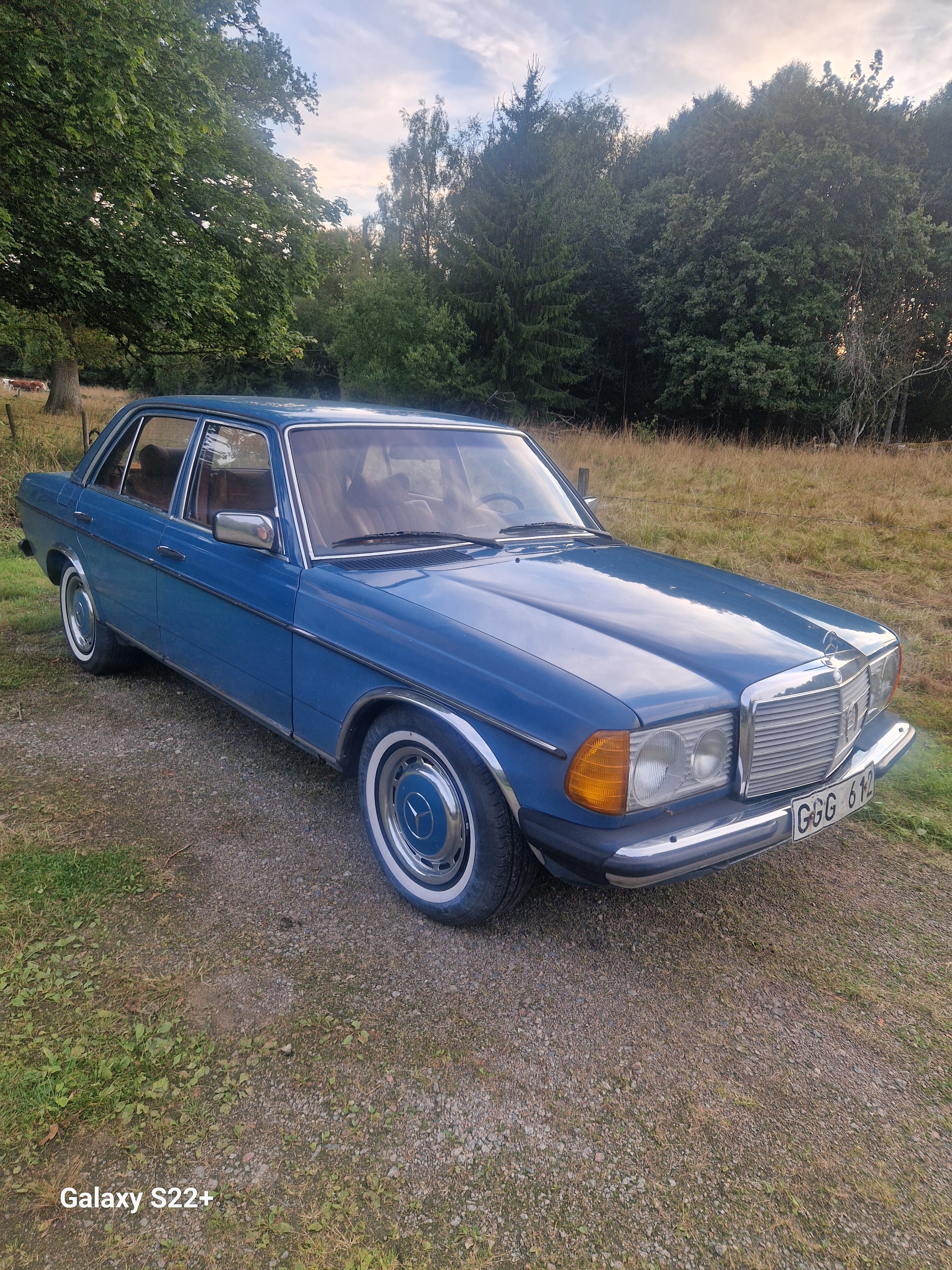 Mercedes-Benz 300 D Automatisk 1979, bild 2/10