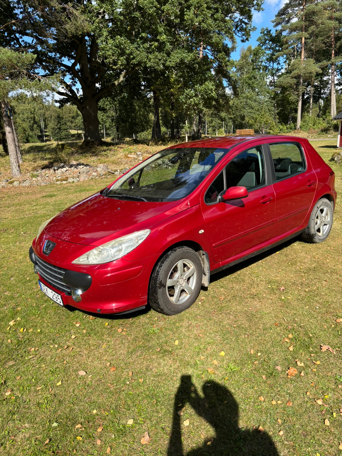 Peugeot 307