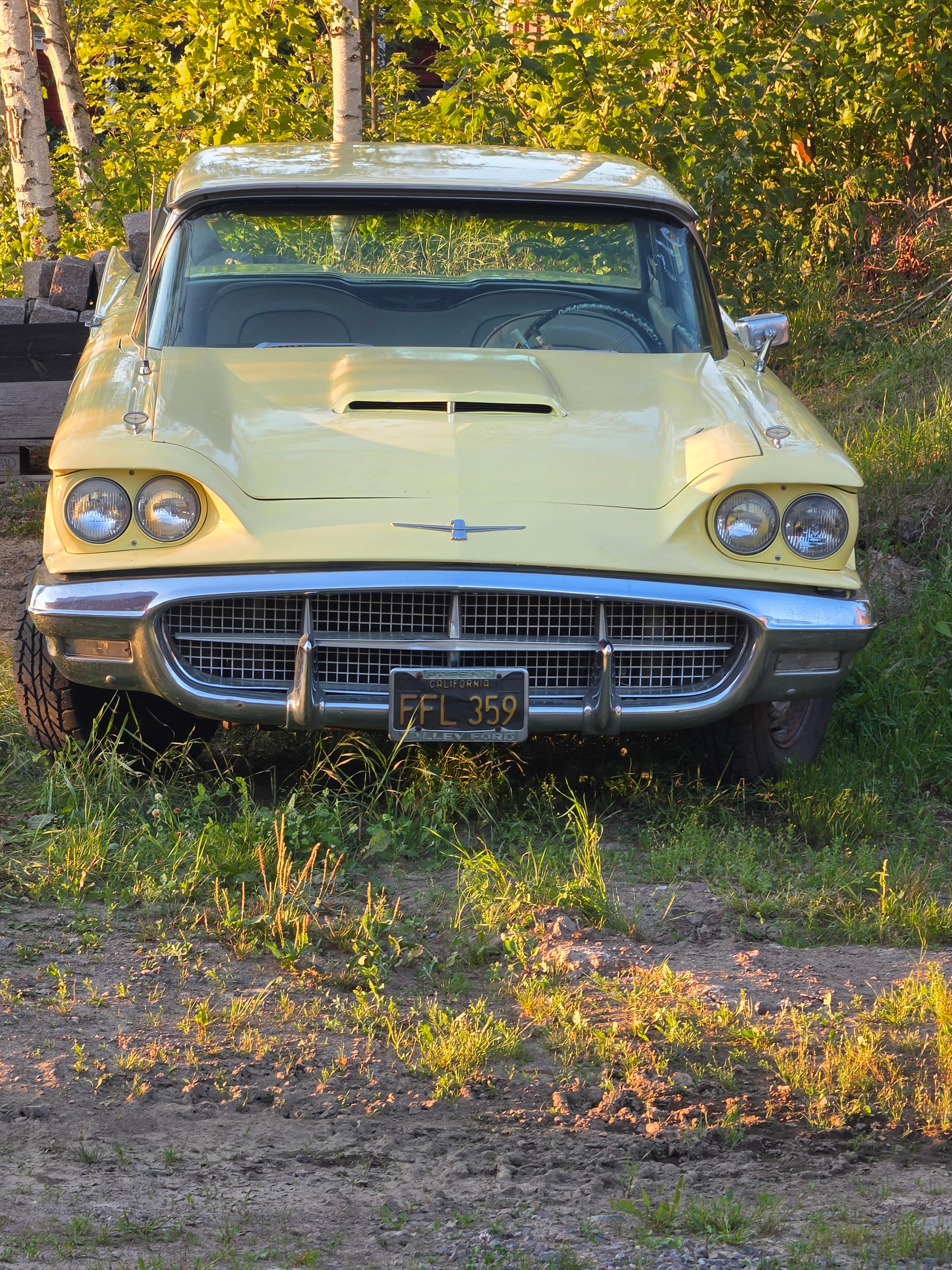Ford Thunderbird