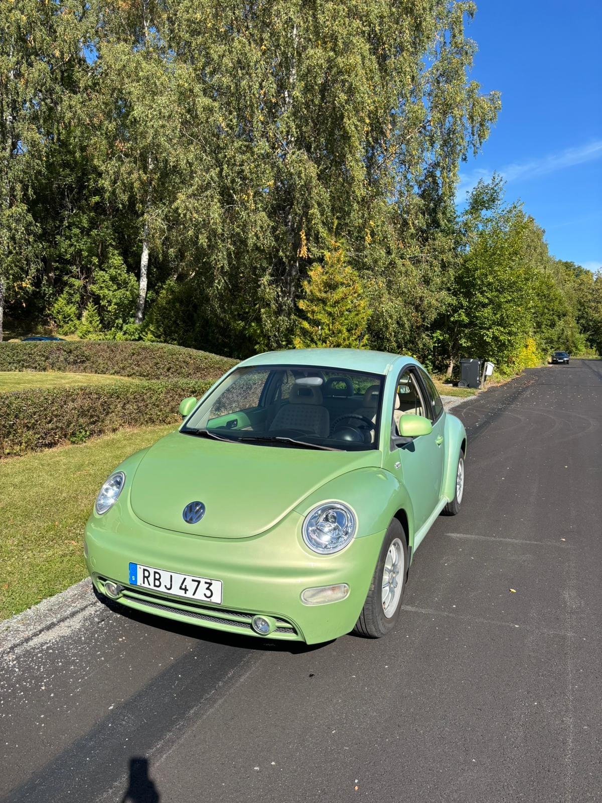 Volkswagen New Beetle 2.0 Manuell 1999, photo 2/8