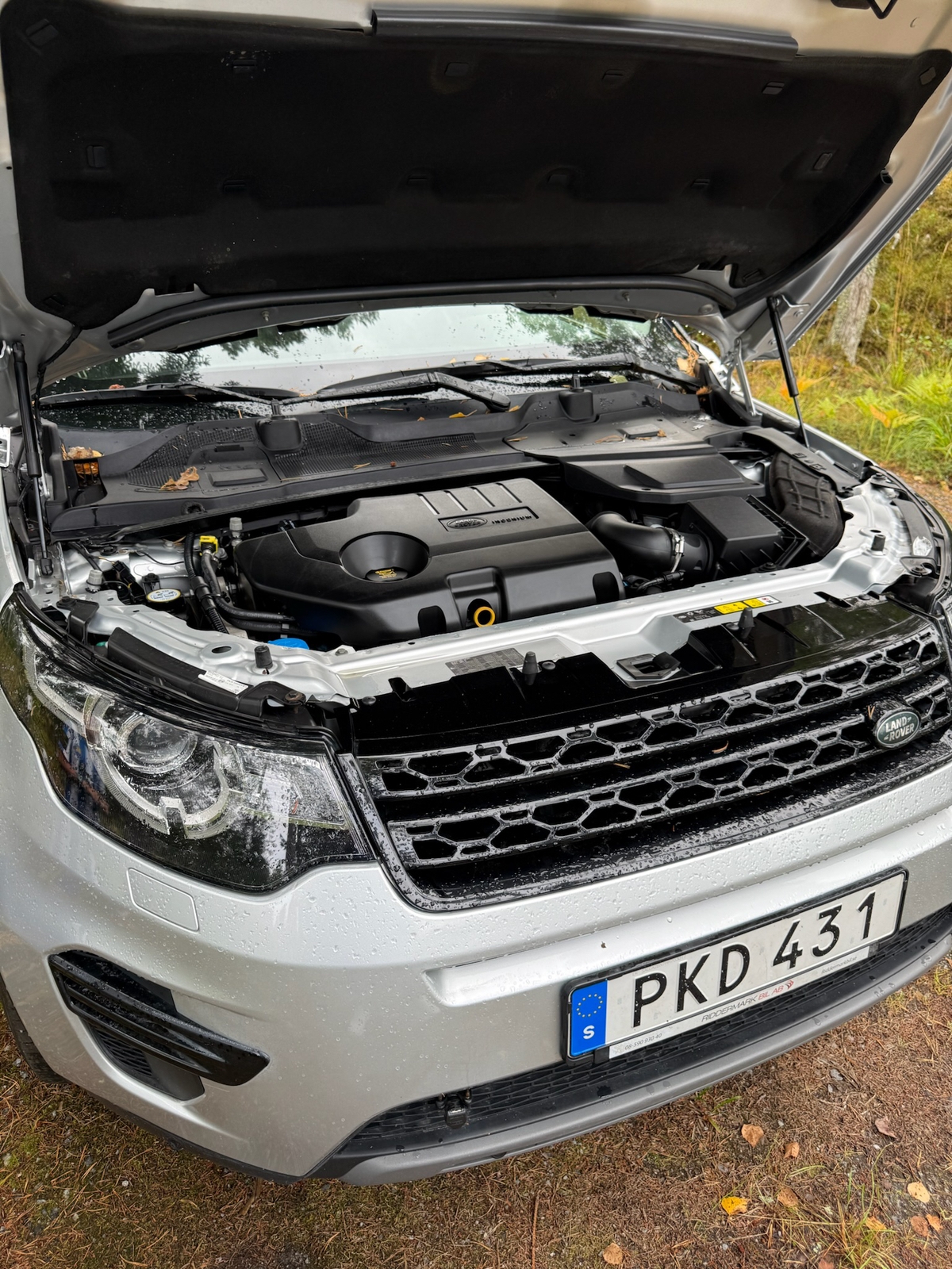 Land Rover Discovery Sport 2017, bild 5/10