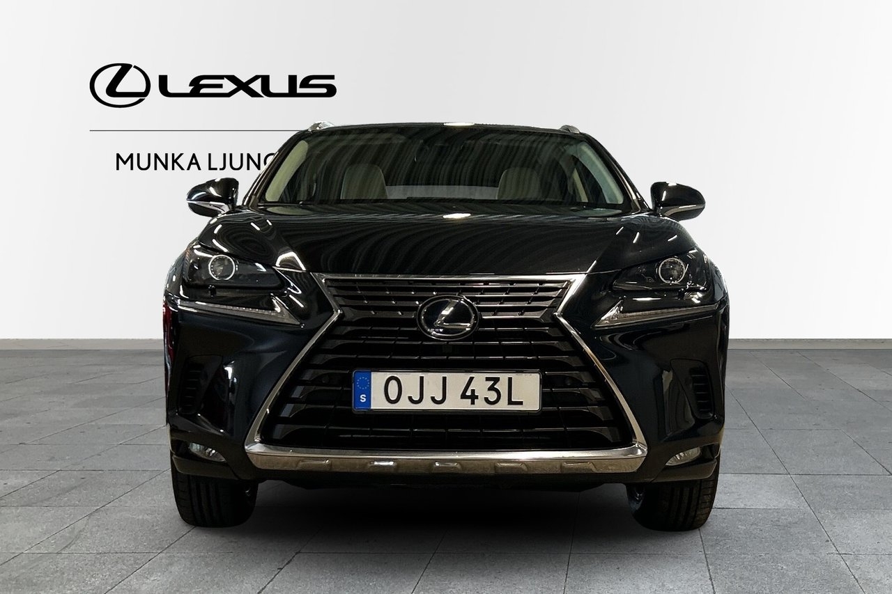 Lexus NX 300h AWD Executive LSS+ 2019, photo 4/10
