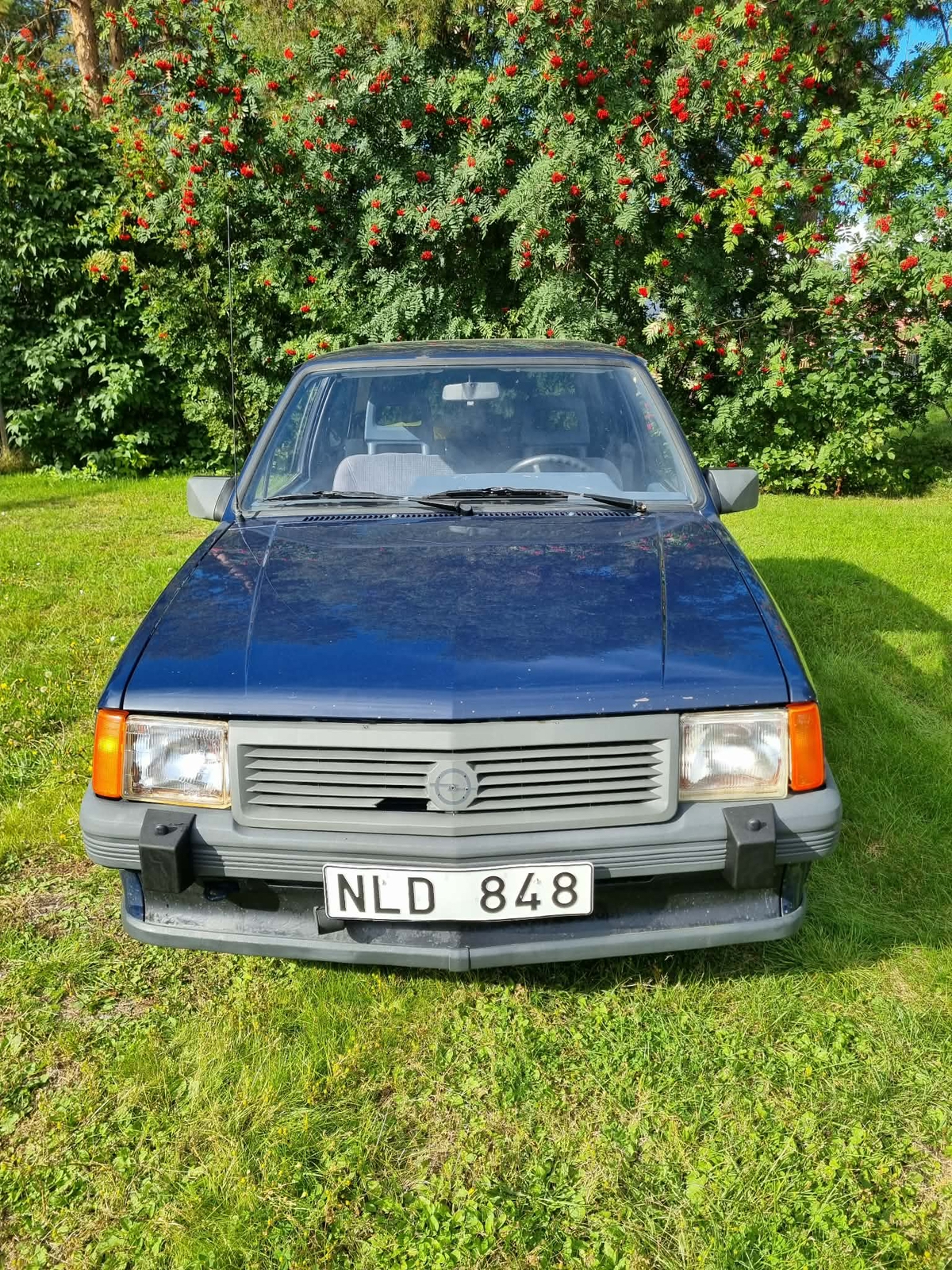 Opel Corsa 3-dörrar 1.3 Manuell 1988, photo 3/4