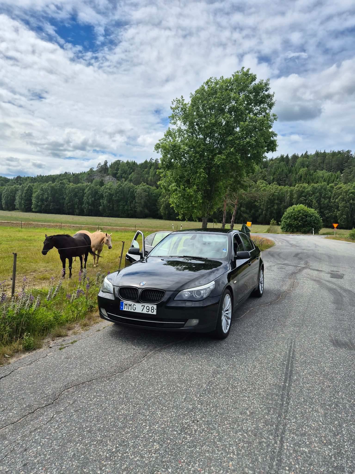 BMW 523