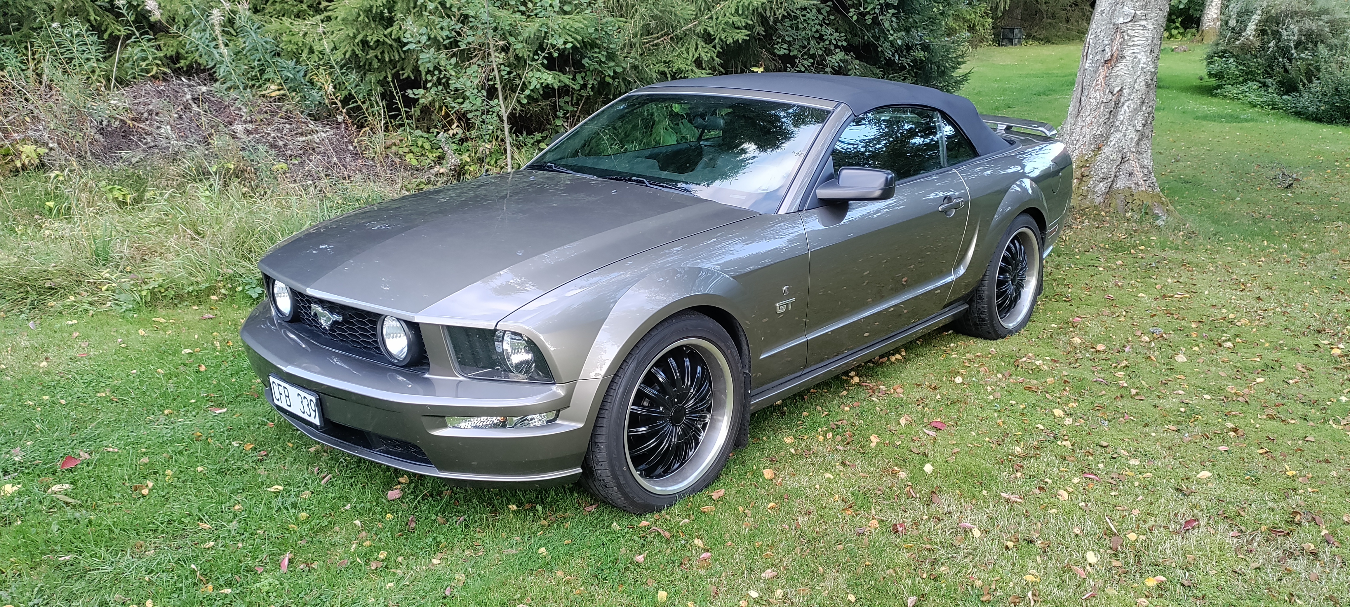 Ford Mustang GT Convertible Automatisk 2005, bild 5/5