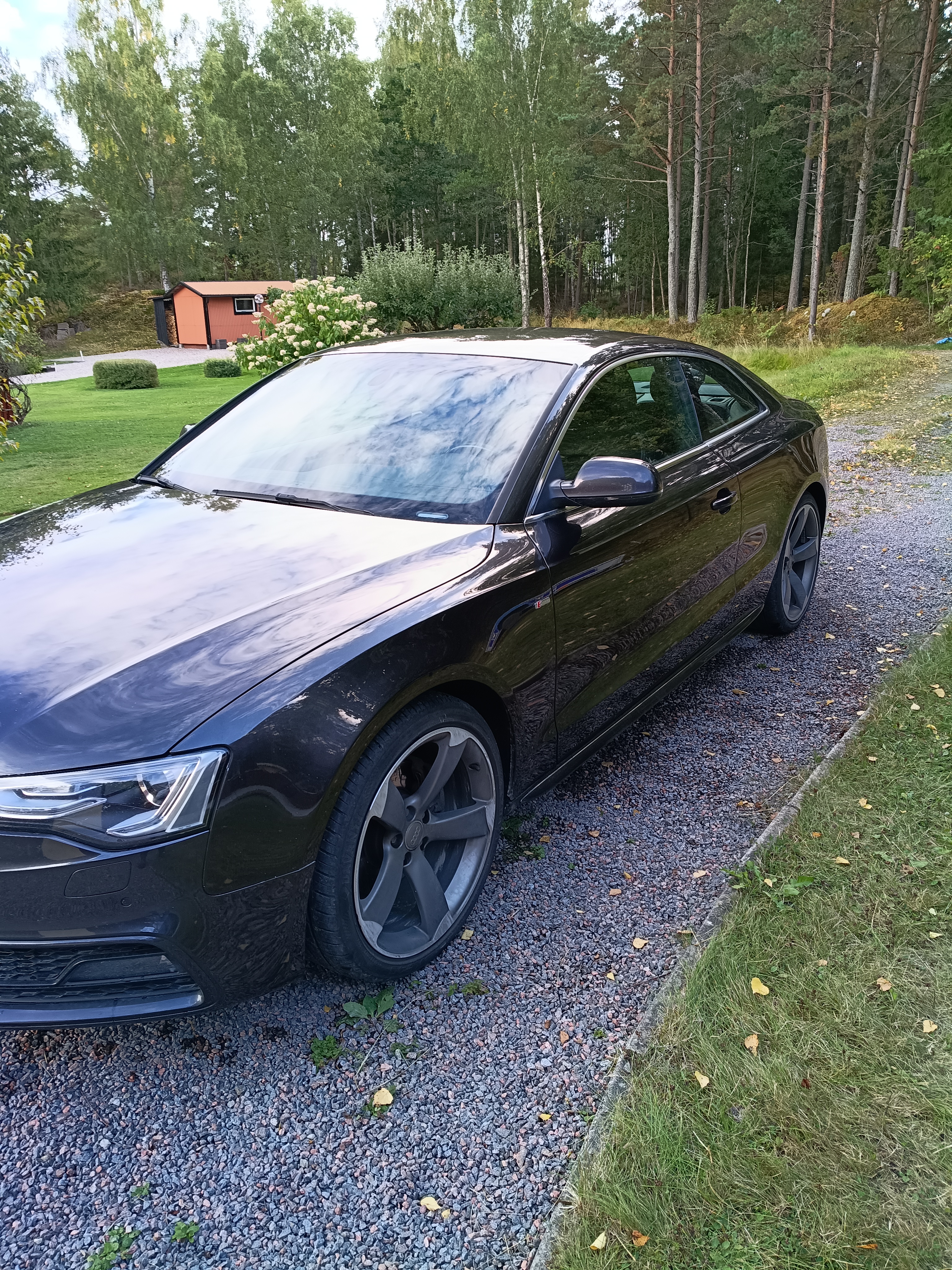 Audi A5 2015, bild 7/10