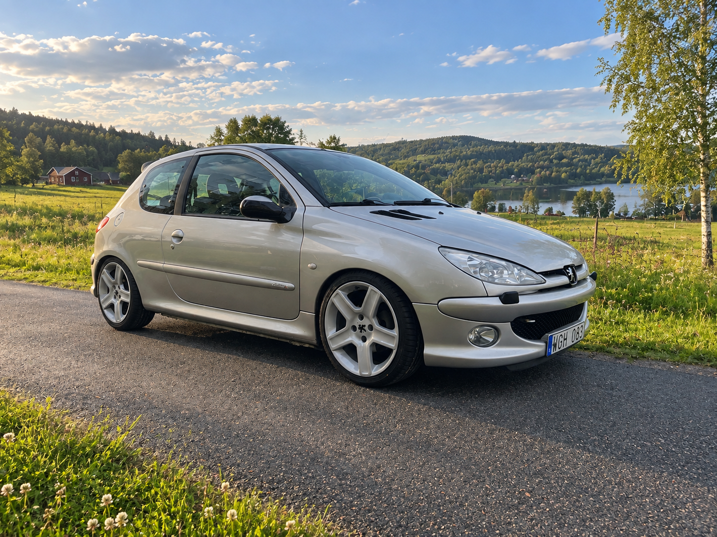 Peugeot 206