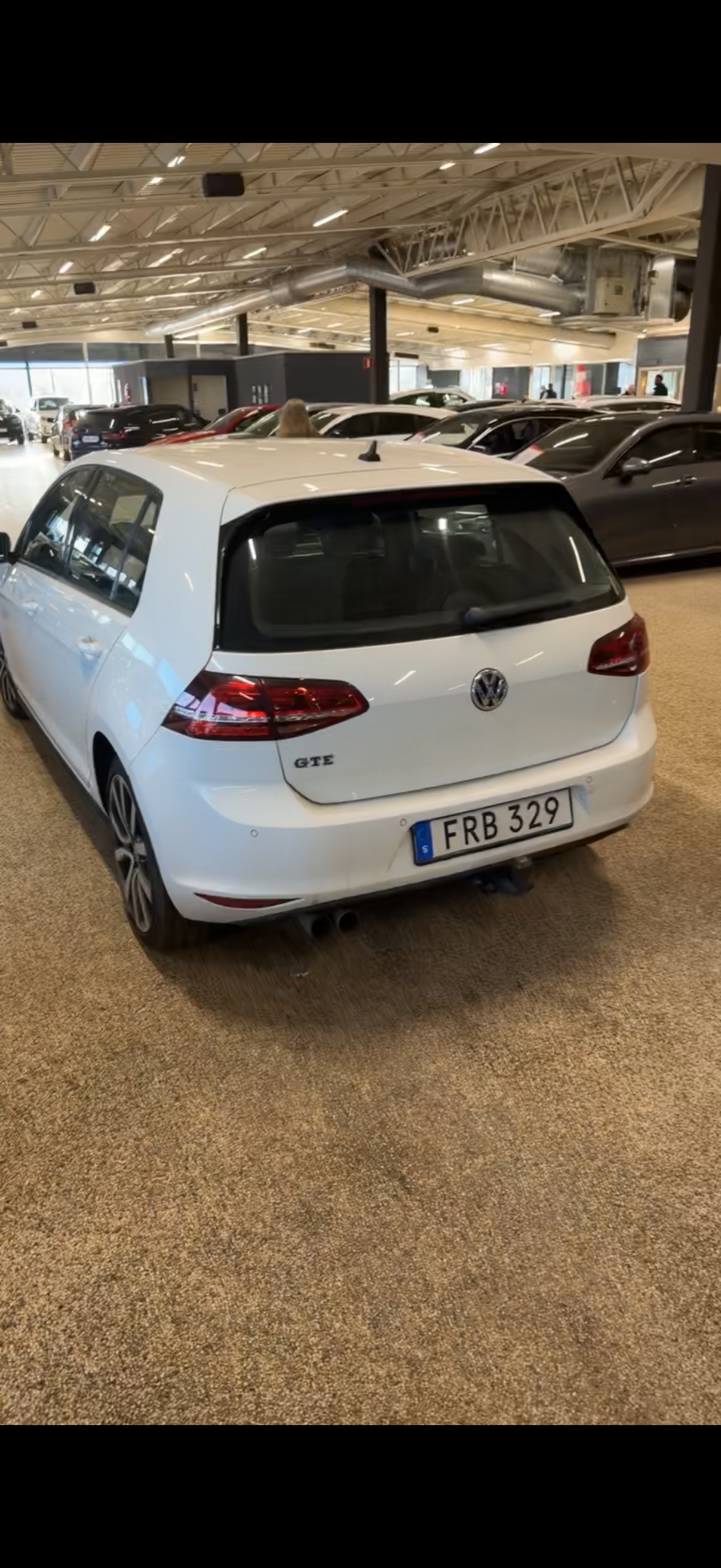 Volkswagen Golf 2016, bild 6/10