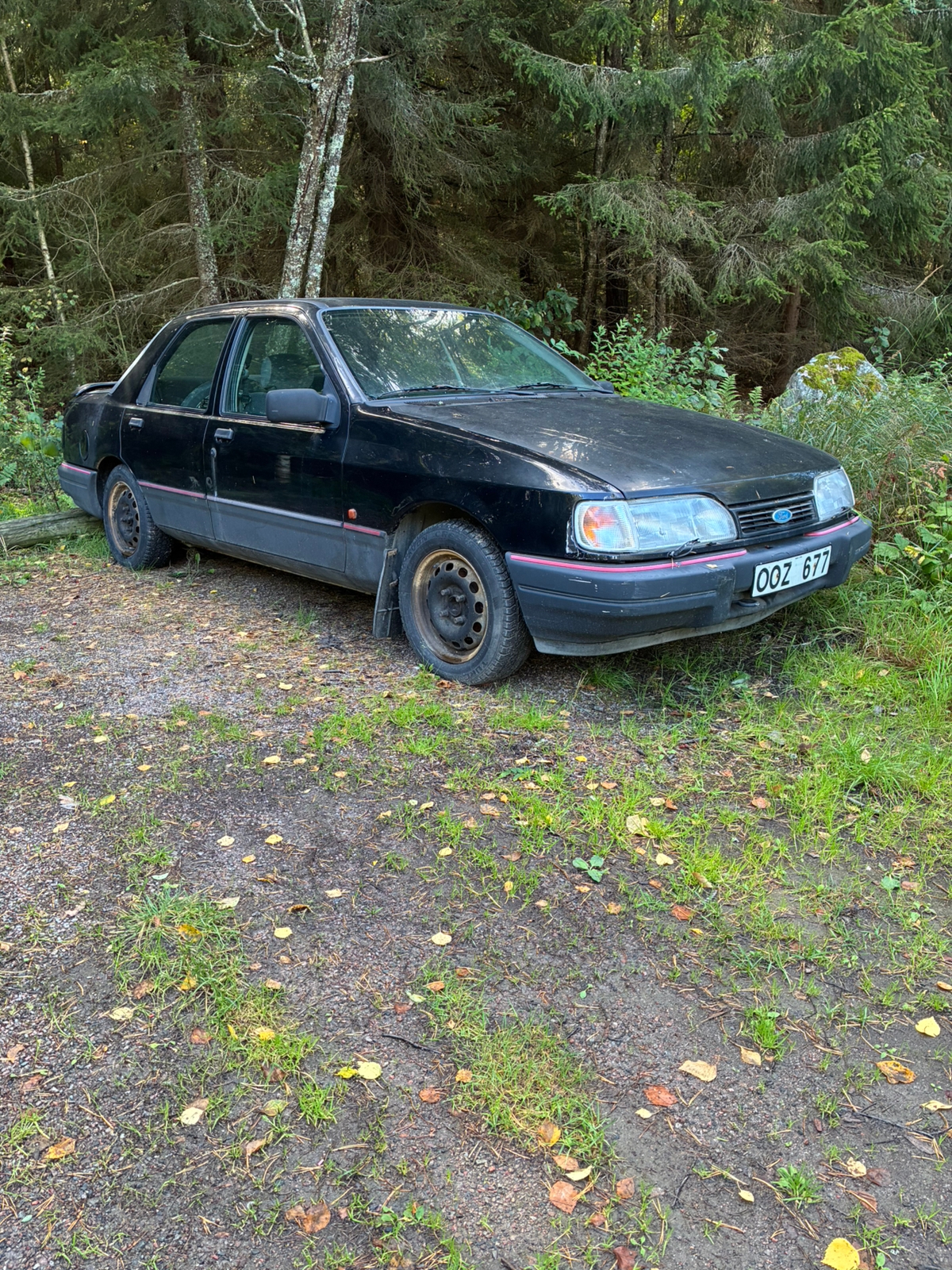 Ford Sierra