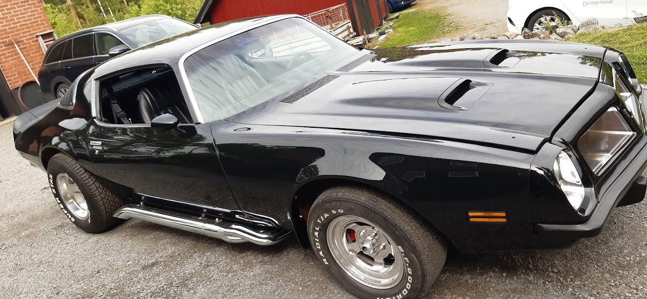 Pontiac Firebird 1976, bild 5/6
