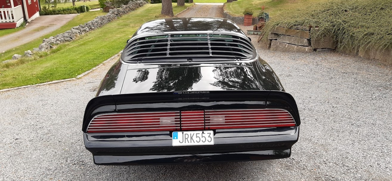 Pontiac Firebird 1976, bild 6/6