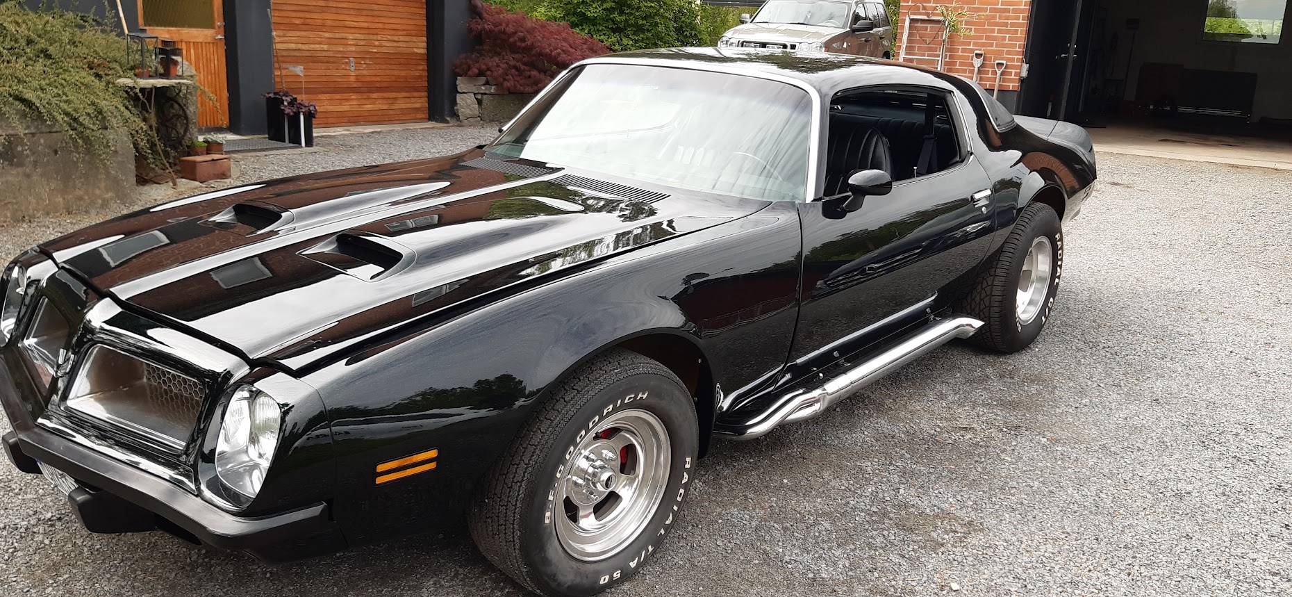 Pontiac Firebird 1976, bild 4/6