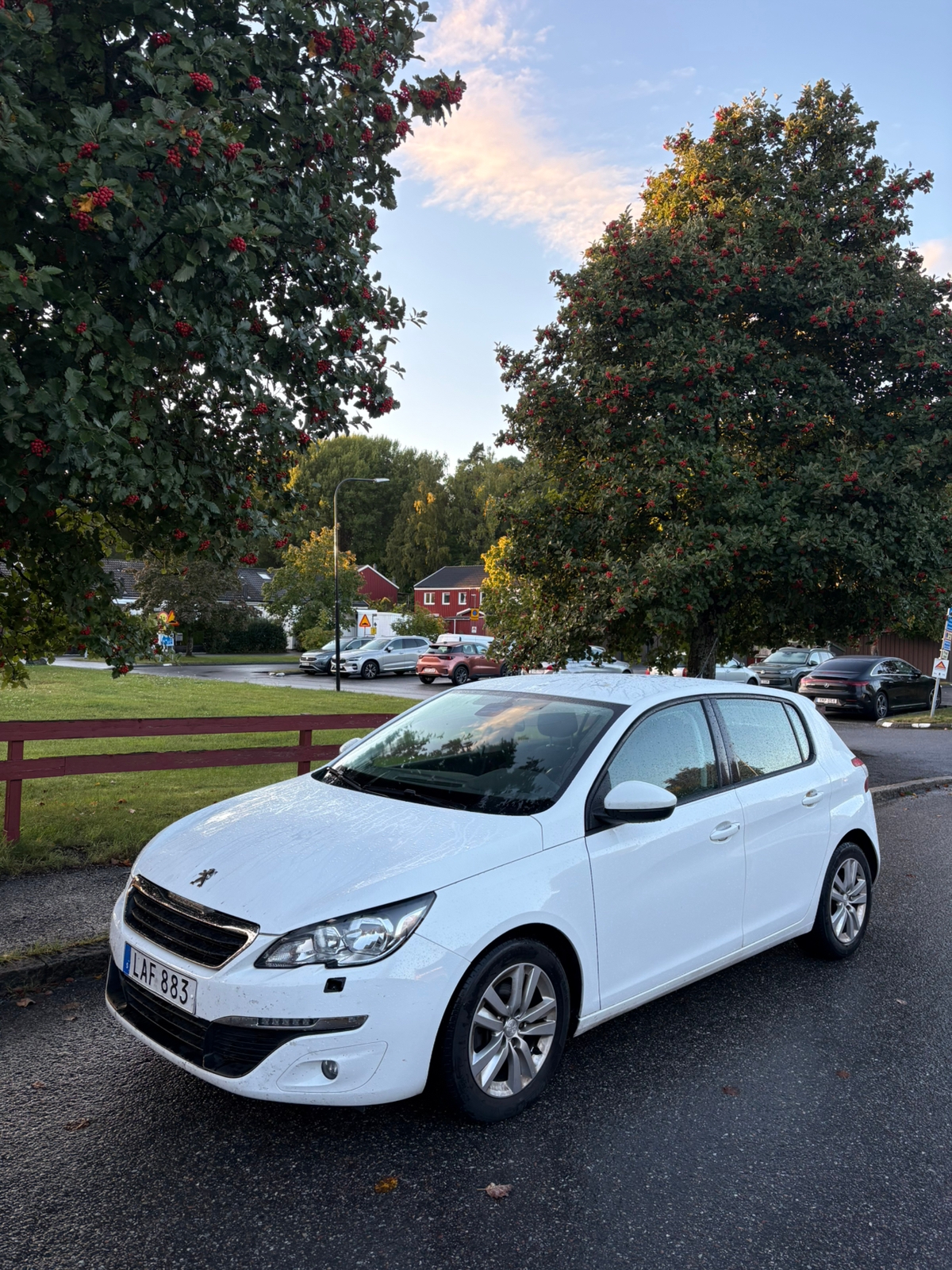 Peugeot 308