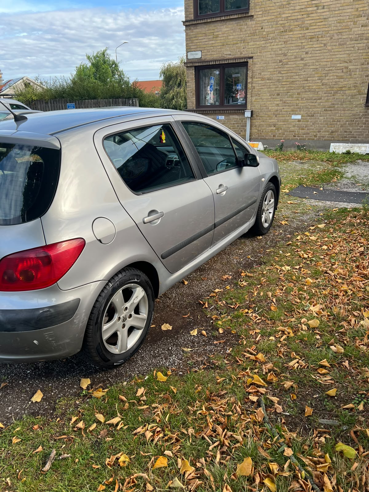 Peugeot 307 5-dörrar 2.0 Automatisk 2002, bild 5/10