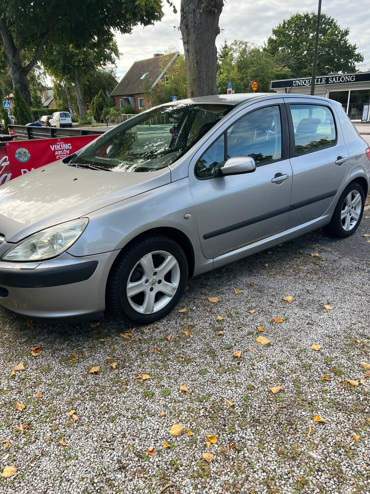 Peugeot 307 5-dörrar 2.0 Automatisk 2002, bild 2/10
