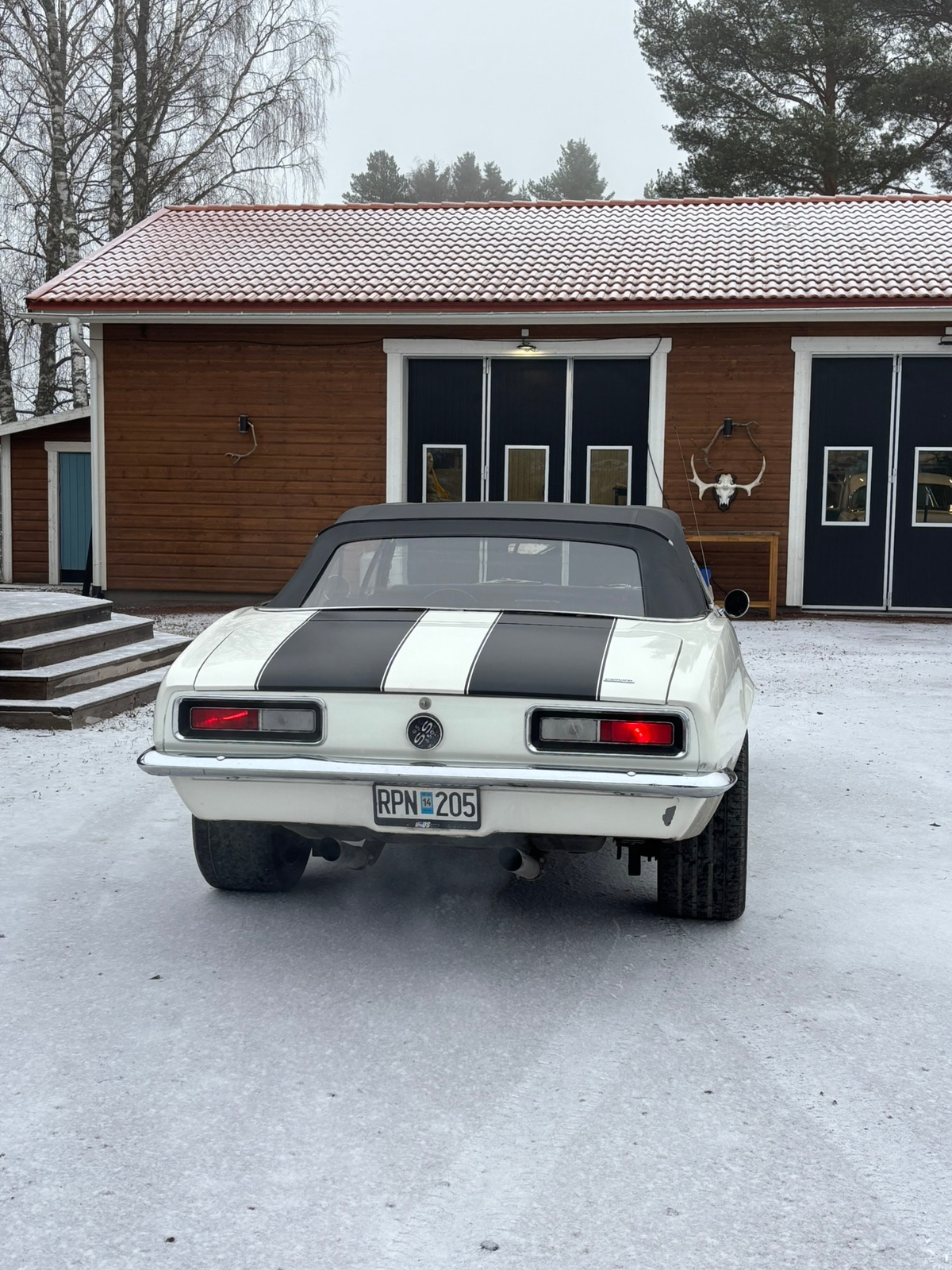 Chevrolet Camaro 1967, bild 2/5