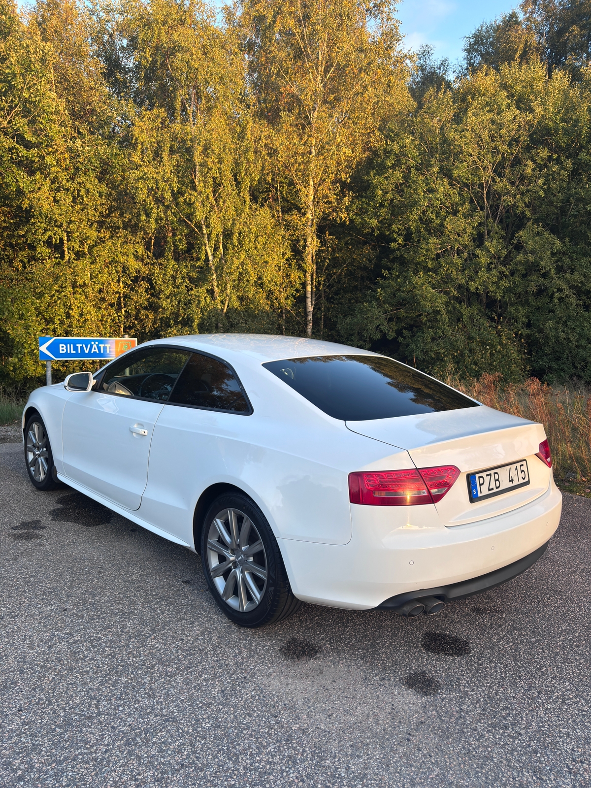 Audi A5 2010, kuva 6/10