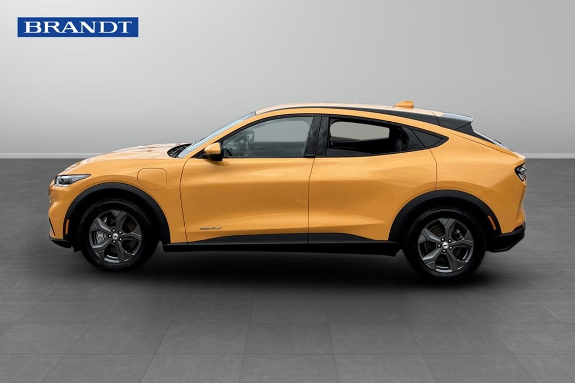 Ford Mustang Mach-E 2022, bild 3/9