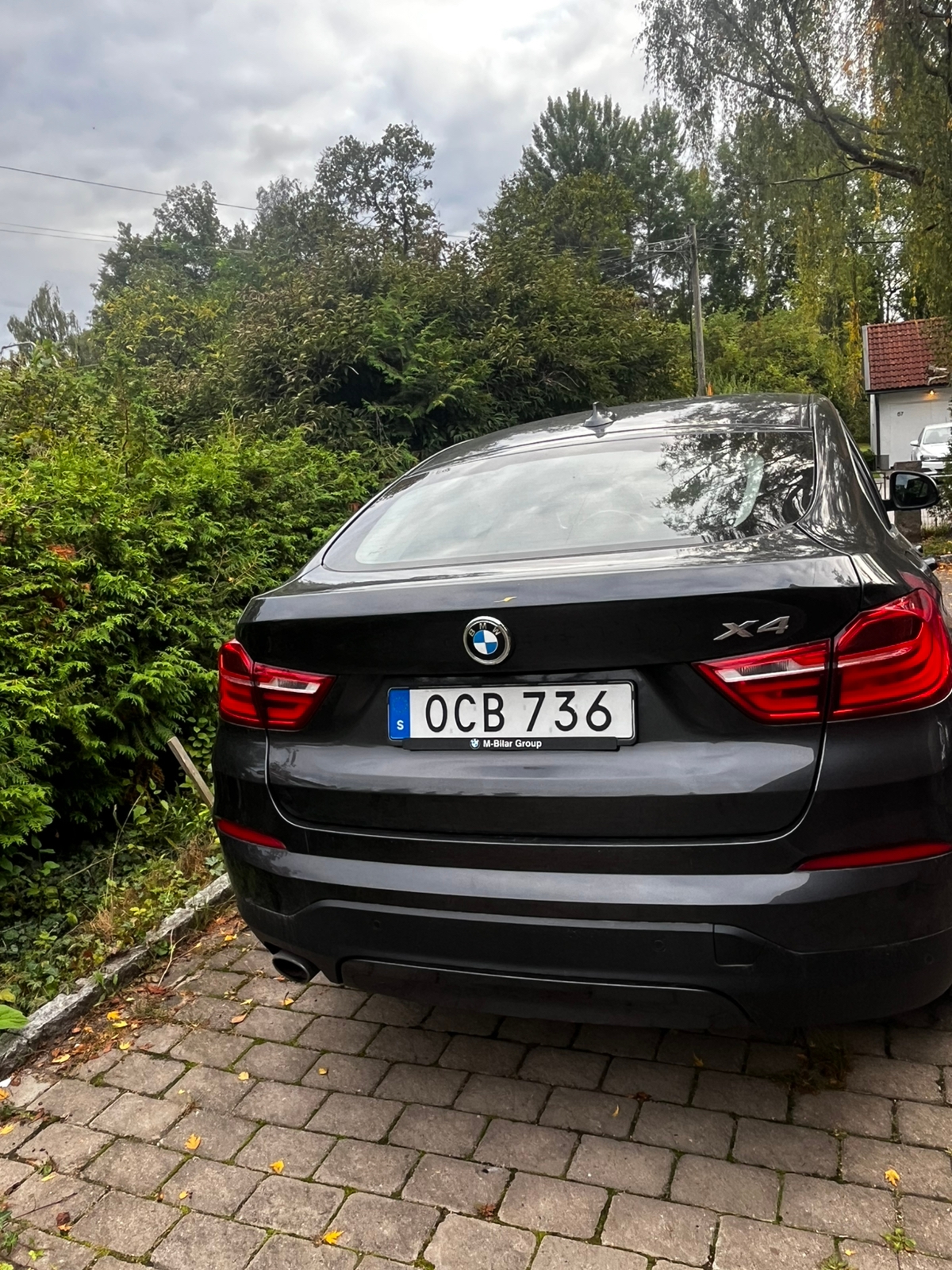 BMW X4 xDrive20d Steptronic 2018, bild 5/6