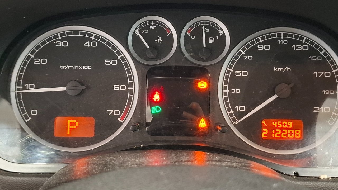 Peugeot 307 2004, bild 8/8