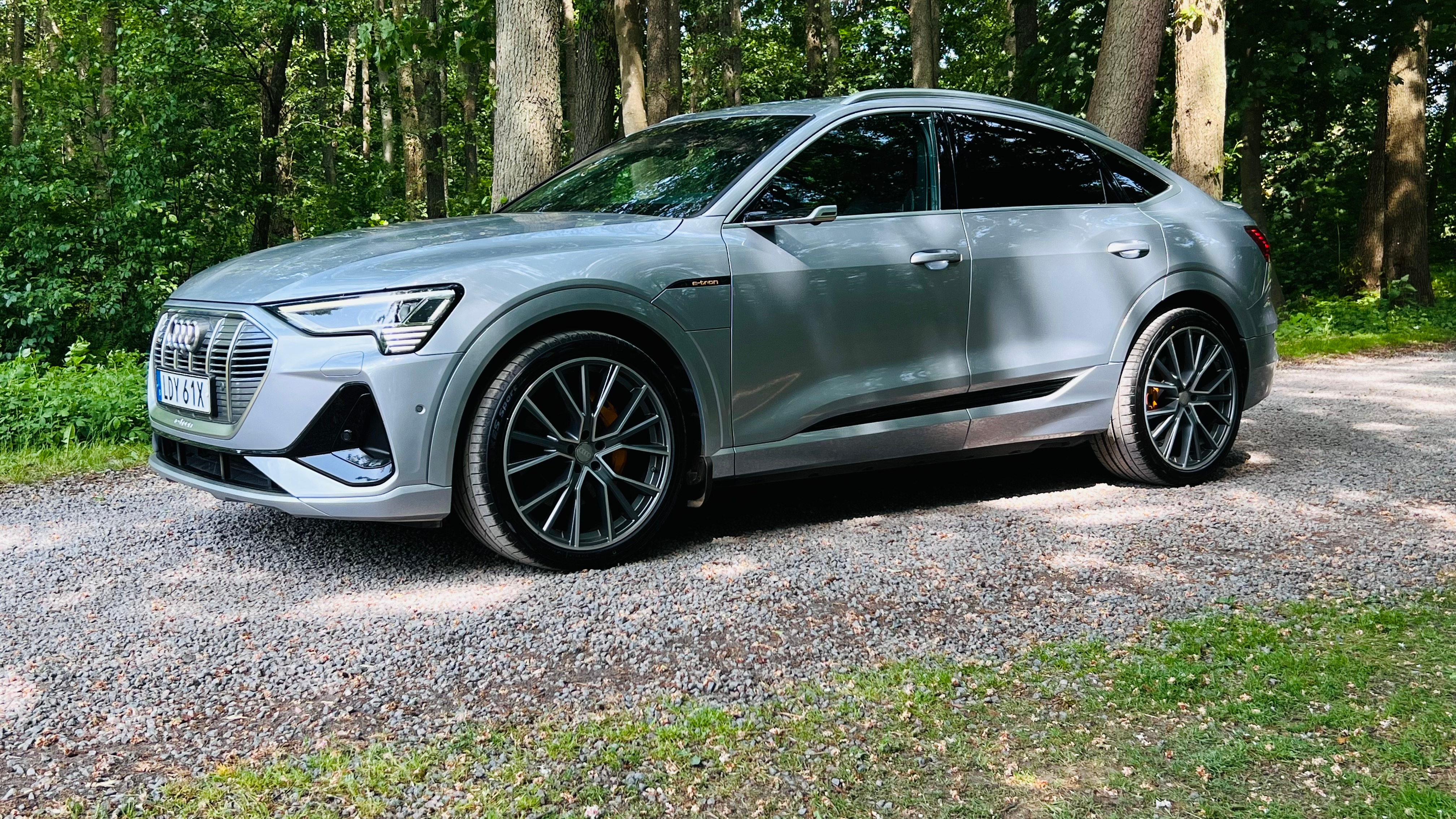 Audi e-tron 2021, photo 3/10