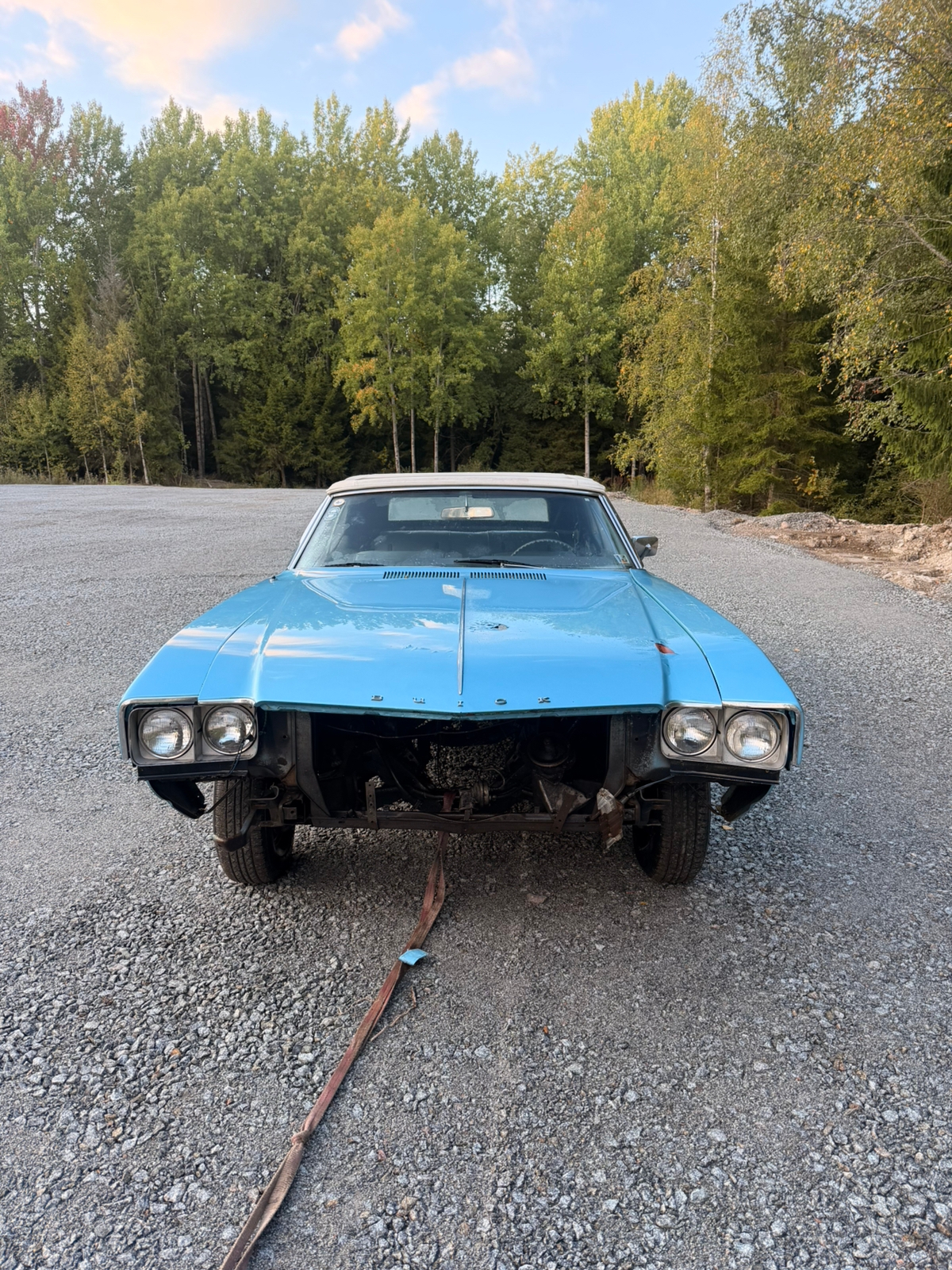 Buick Skylark 1968, bild 6/10