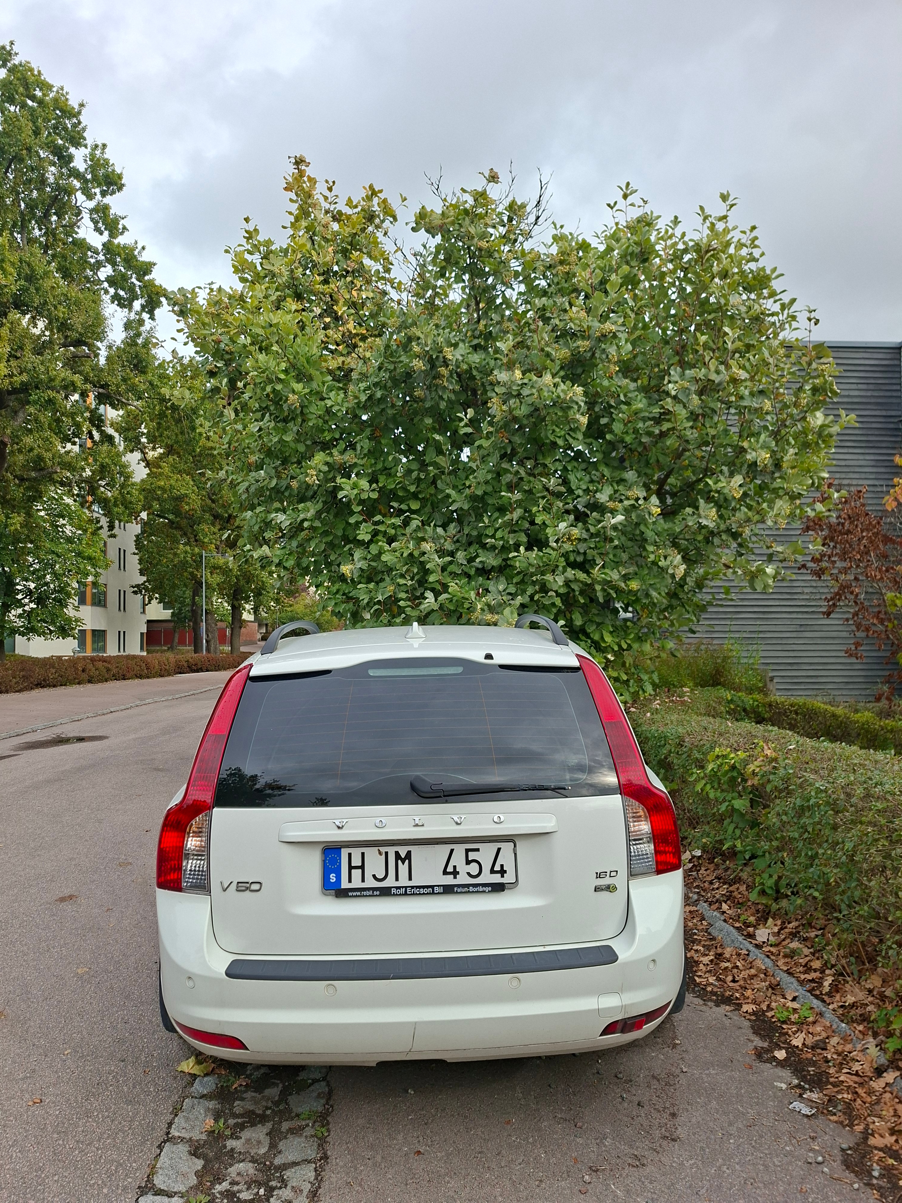 Volvo V50