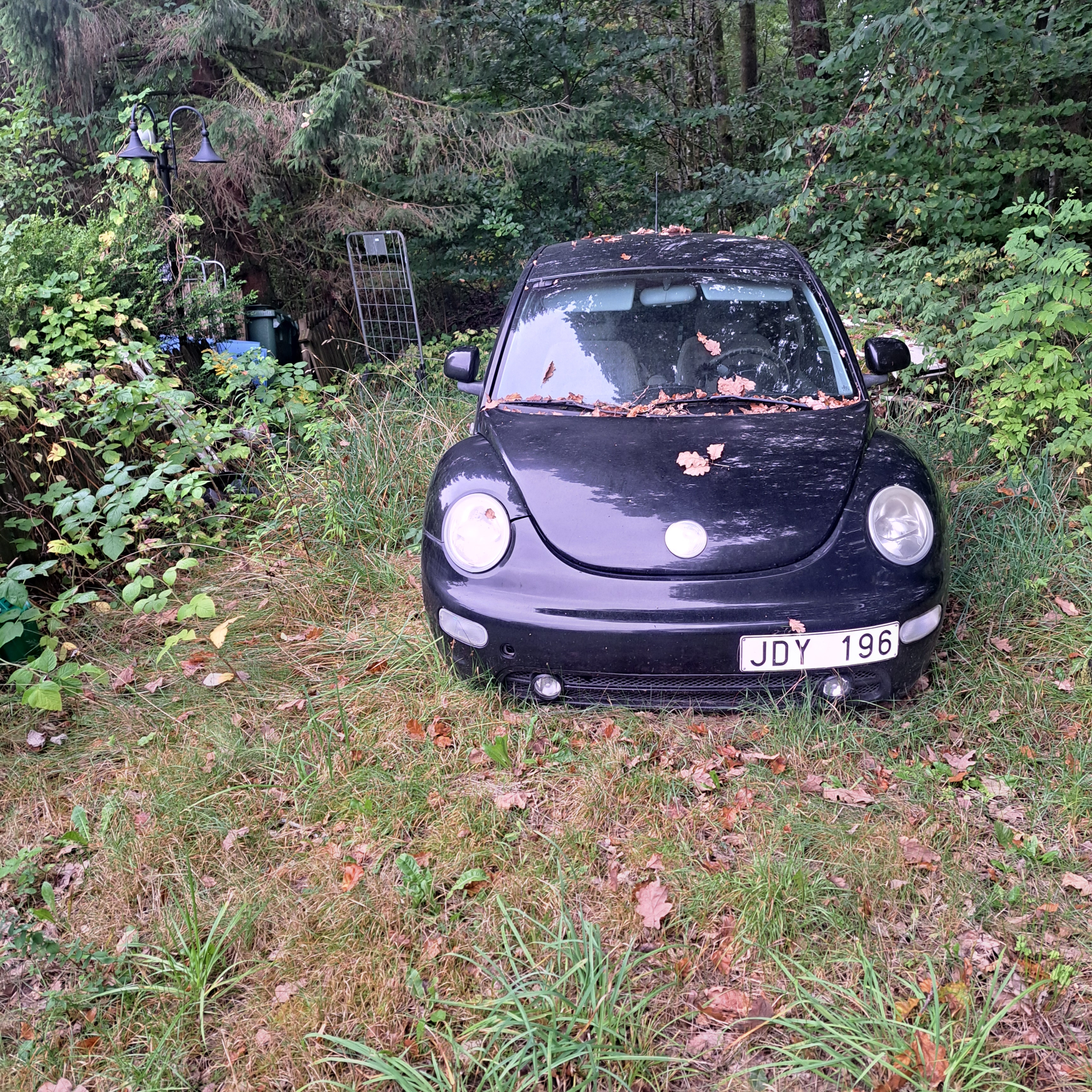 Volkswagen New Beetle