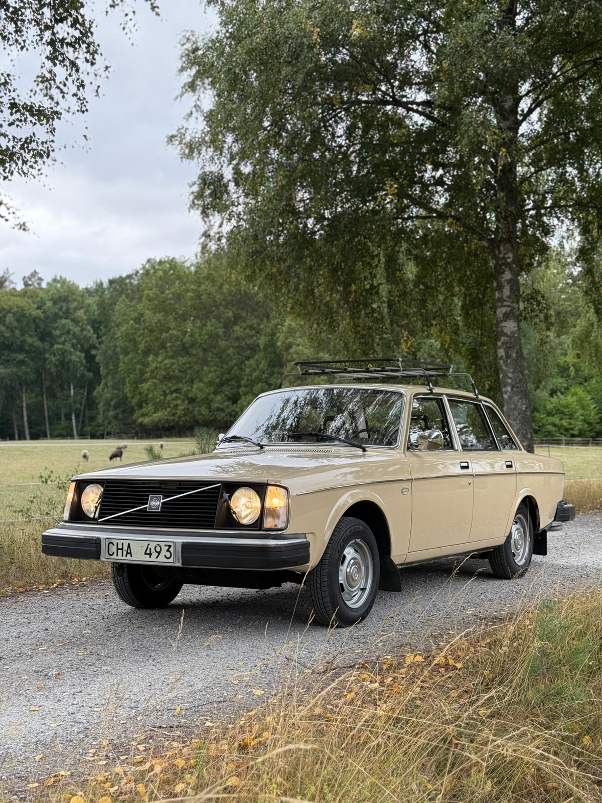 Volvo 244